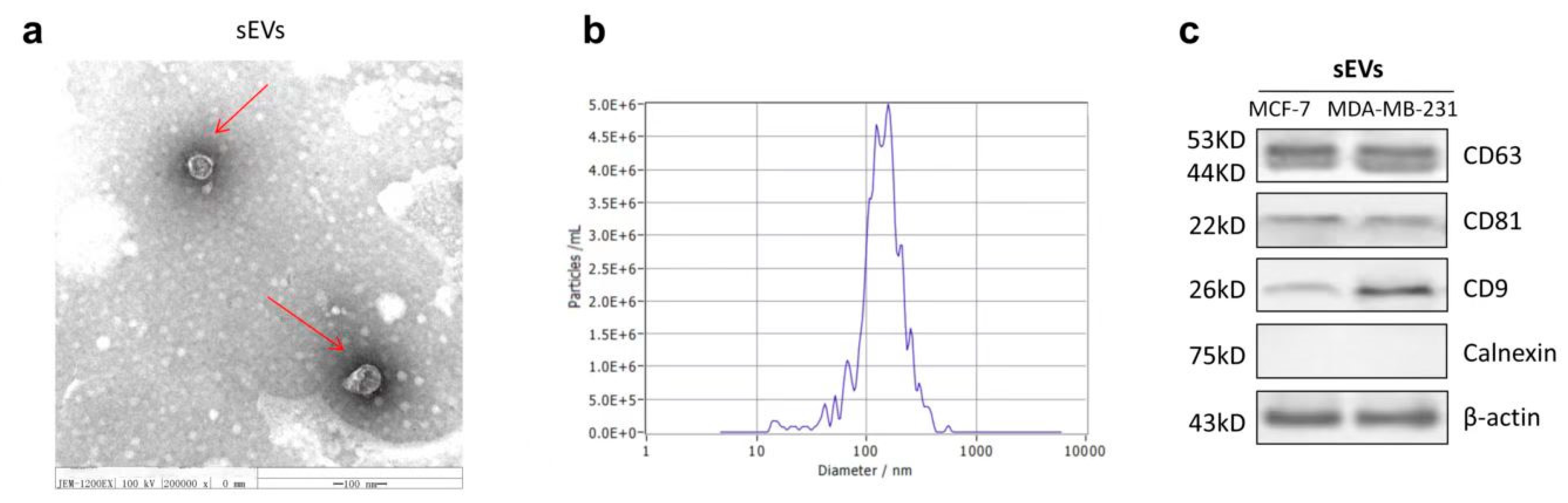 Marinedrugs 21 00151 g006