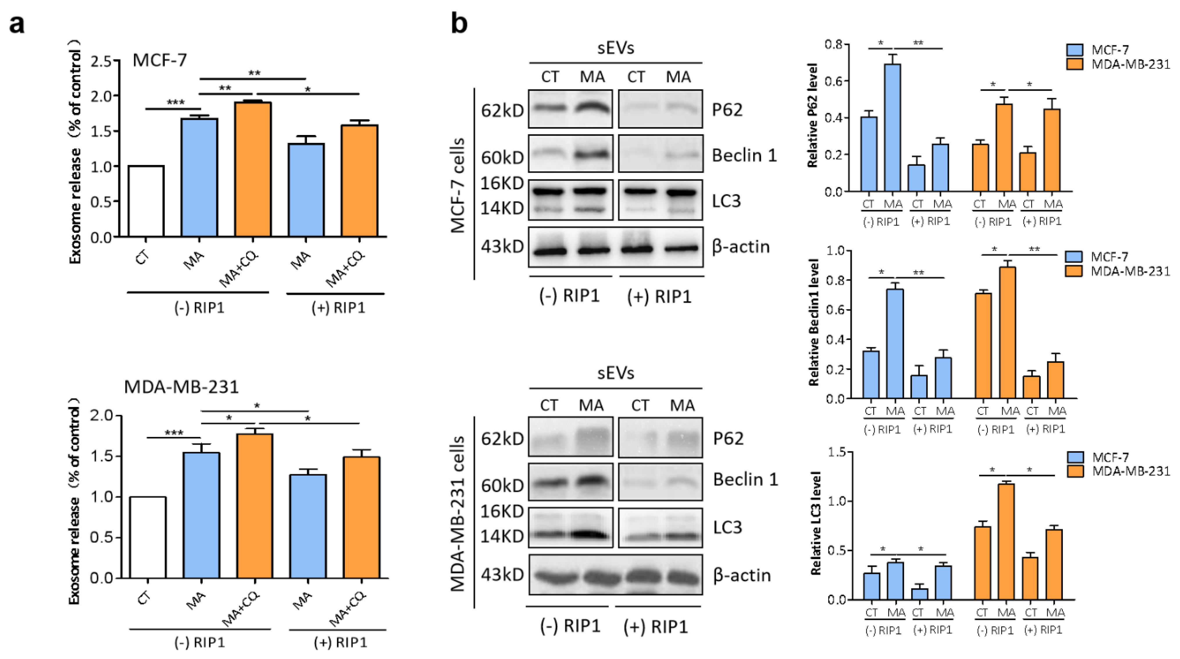 Marinedrugs 21 00151 g007