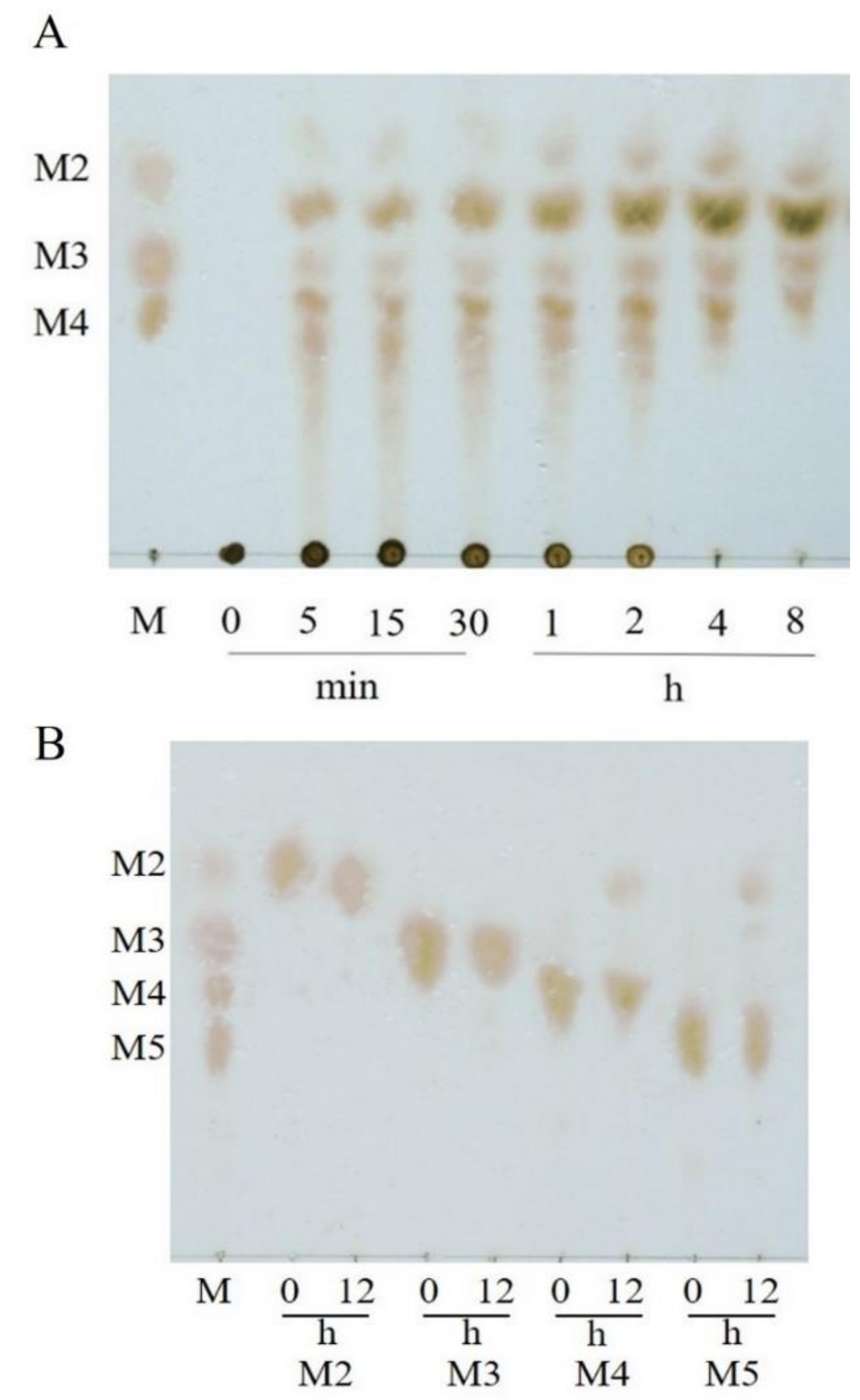 Marinedrugs 21 00208 g003 Marinedrugs 21 00208 g003