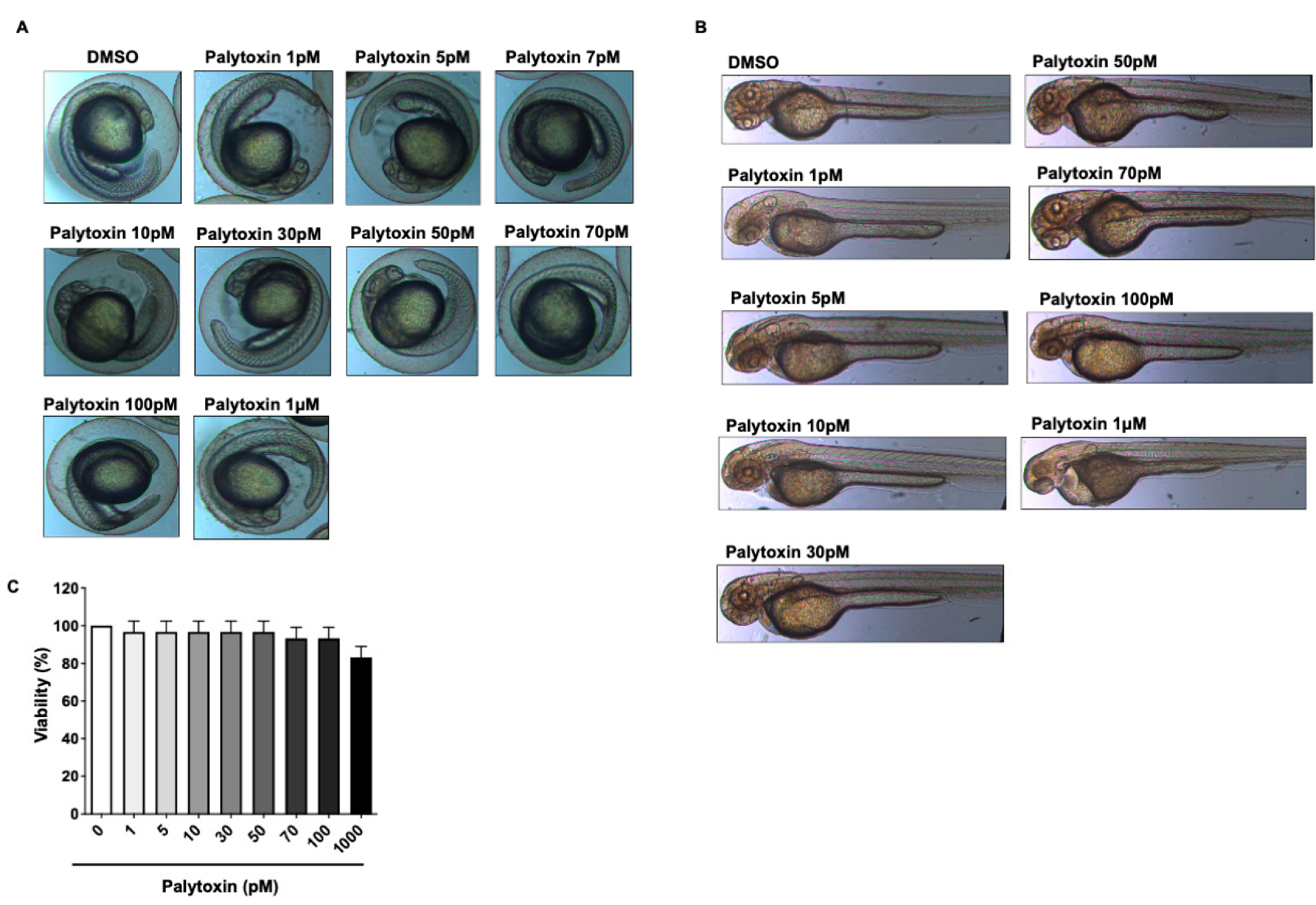 Marinedrugs 21 00233 g003 Marinedrugs 21 00233 g003