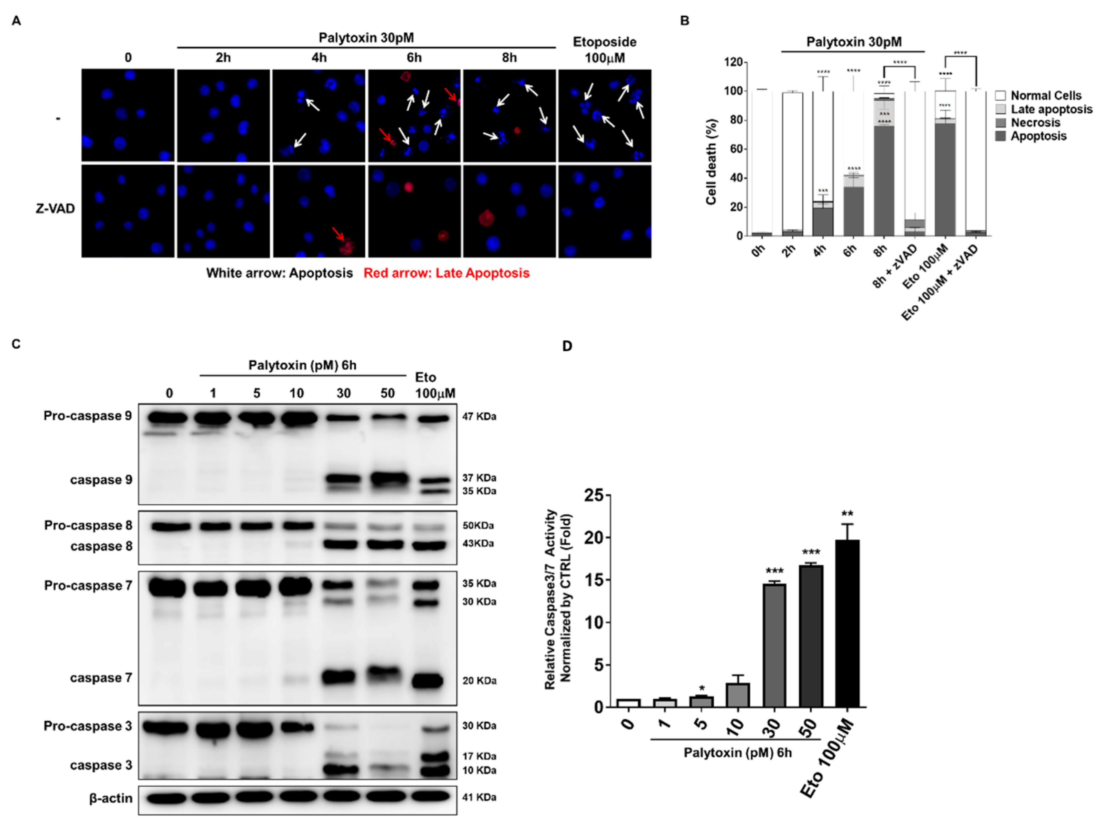 Marinedrugs 21 00233 g004 Marinedrugs 21 00233 g004