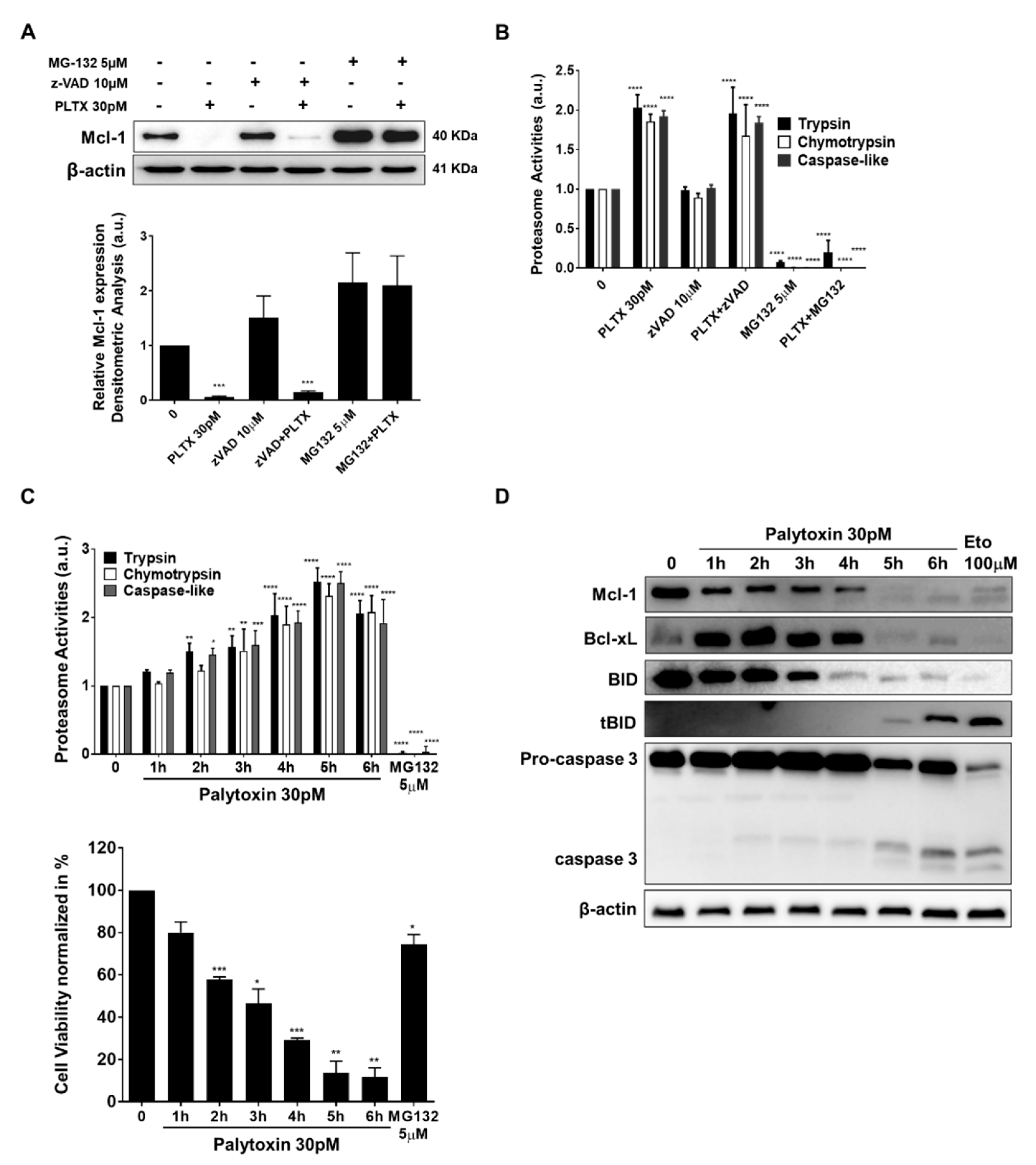 Marinedrugs 21 00233 g006 Marinedrugs 21 00233 g006
