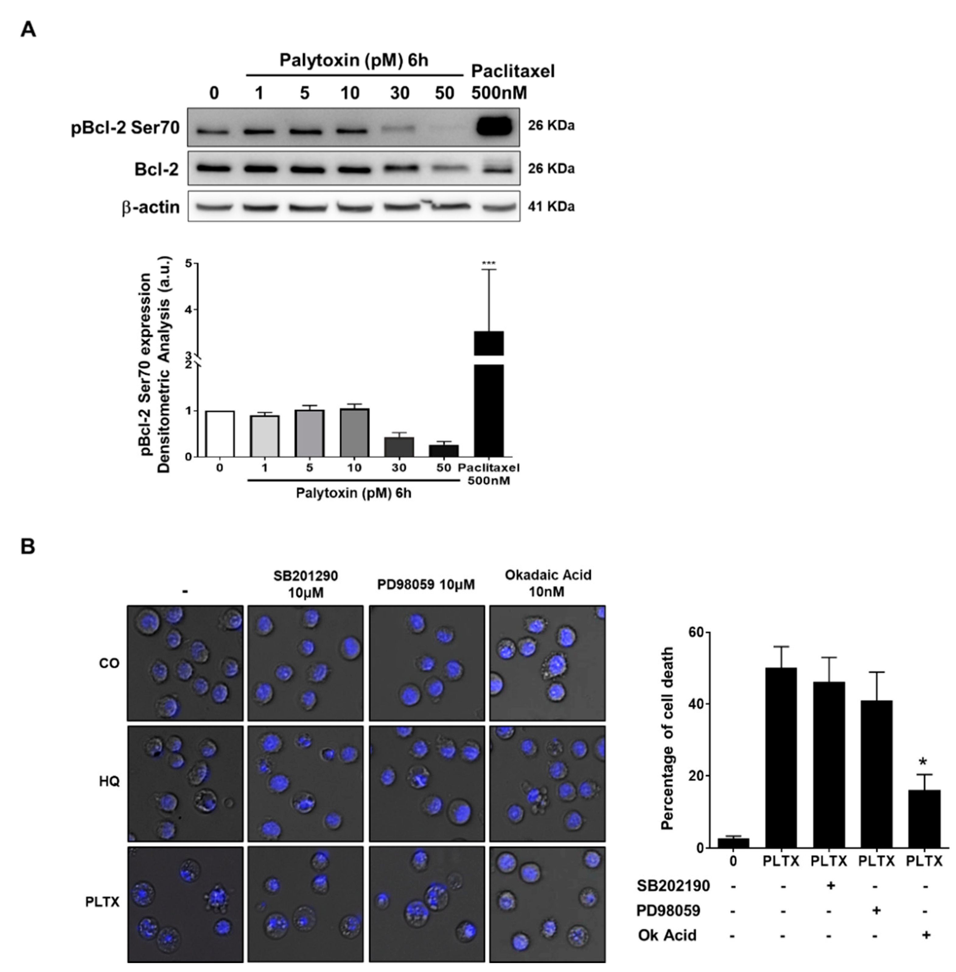 Marinedrugs 21 00233 g007 Marinedrugs 21 00233 g007