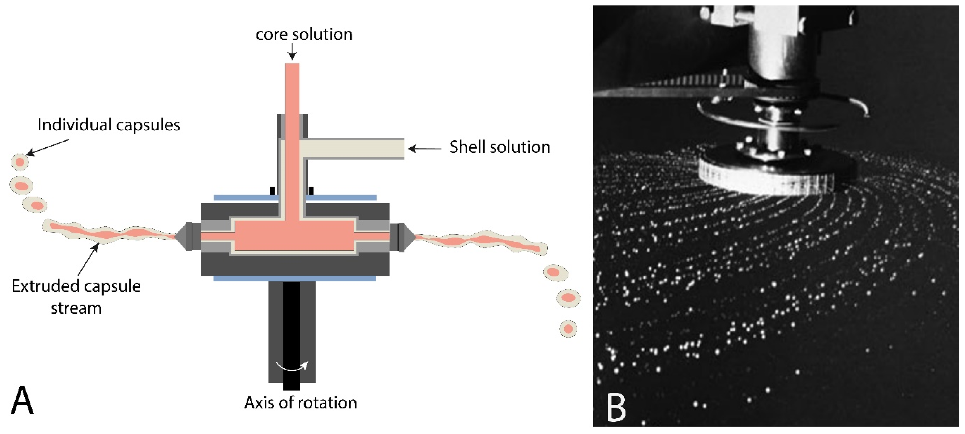Marinedrugs 21 00235 g007 Marinedrugs 21 00235 g007