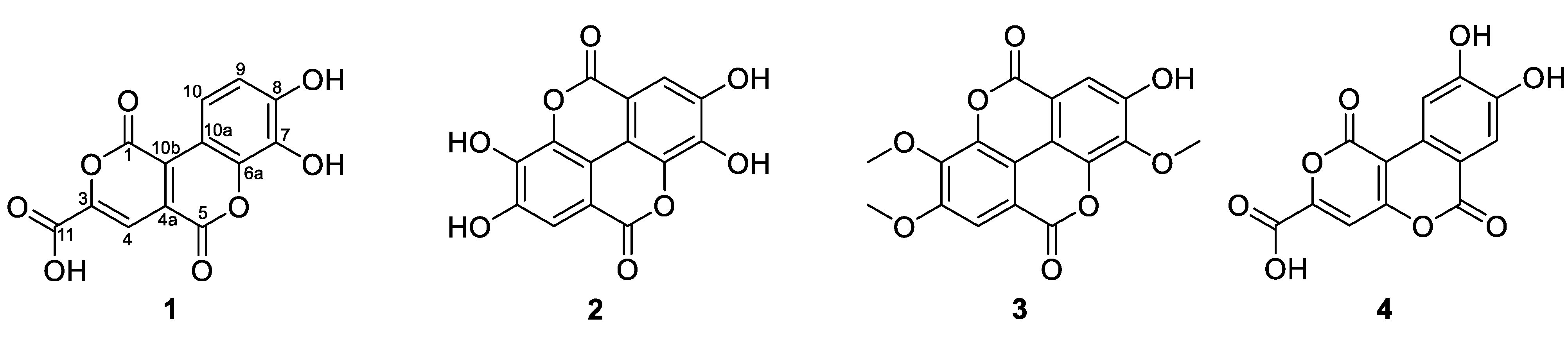 Marinedrugs 21 00242 g002 Marinedrugs 21 00242 g002