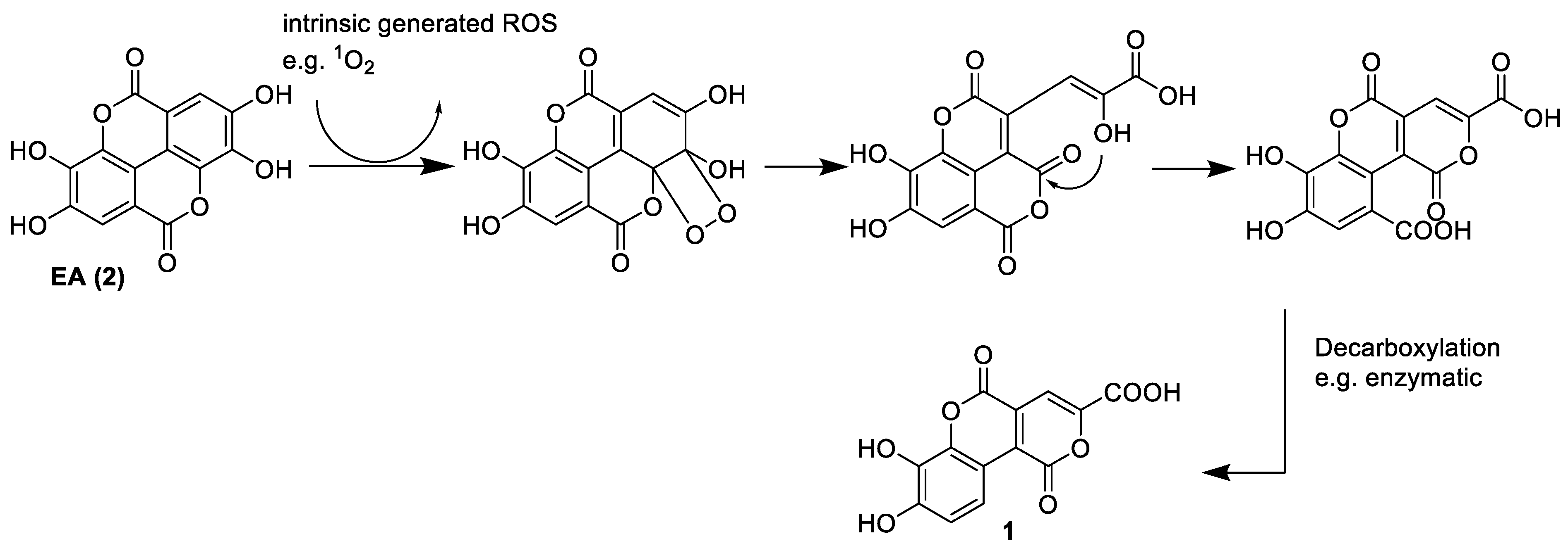 Marinedrugs 21 00242 sch002 Marinedrugs 21 00242 sch002