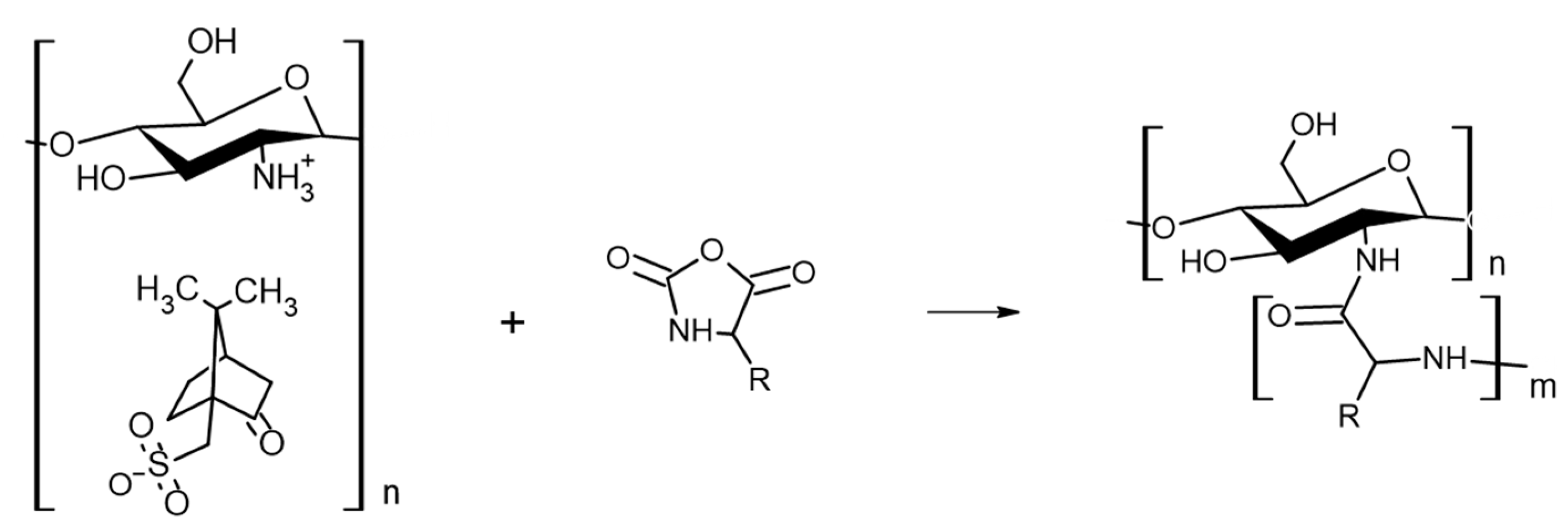 Marinedrugs 21 00243 g003 Marinedrugs 21 00243 g003