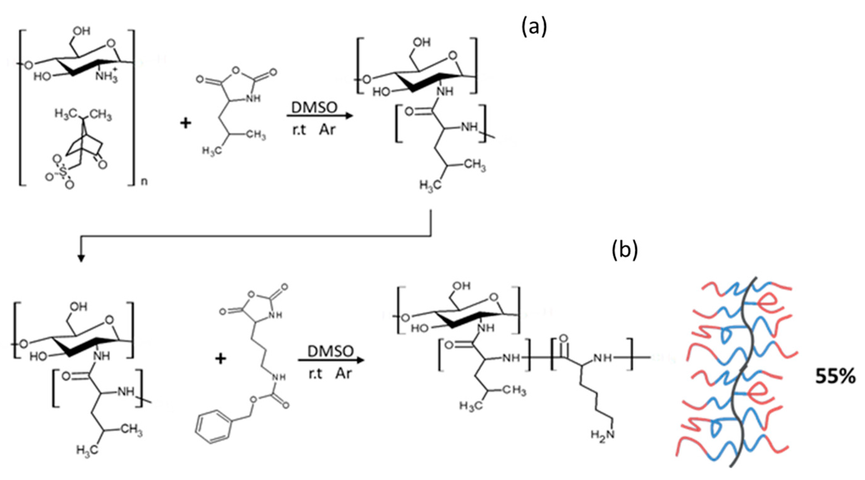 Marinedrugs 21 00243 g007 Marinedrugs 21 00243 g007