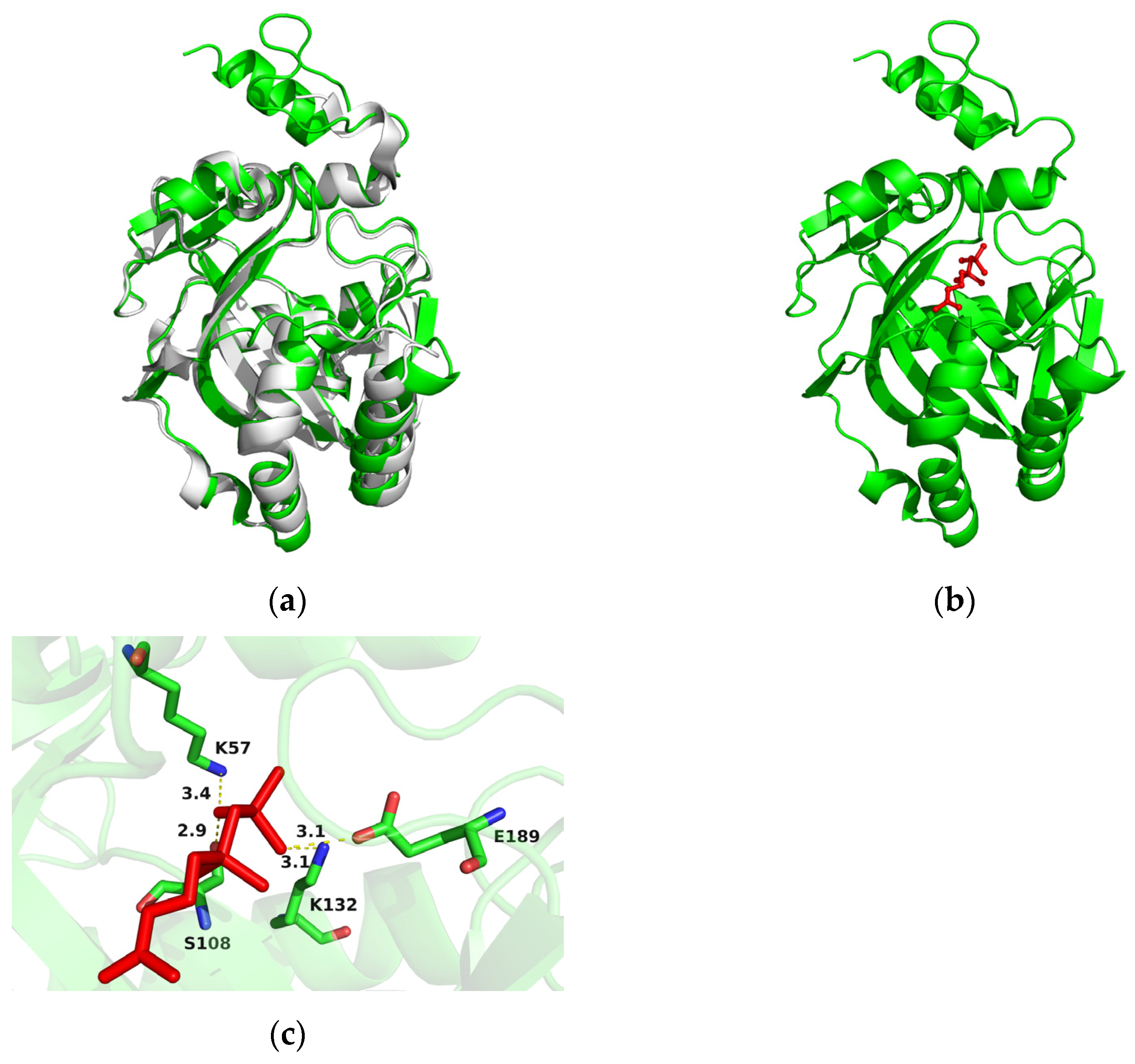 Marinedrugs 21 00249 g003 Marinedrugs 21 00249 g003