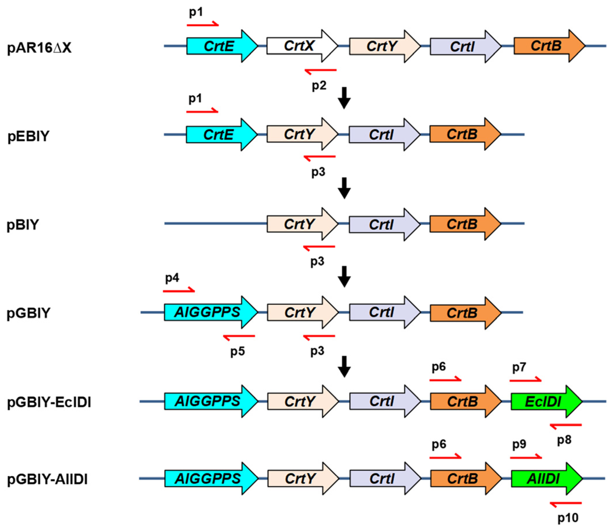 Marinedrugs 21 00249 g004 Marinedrugs 21 00249 g004