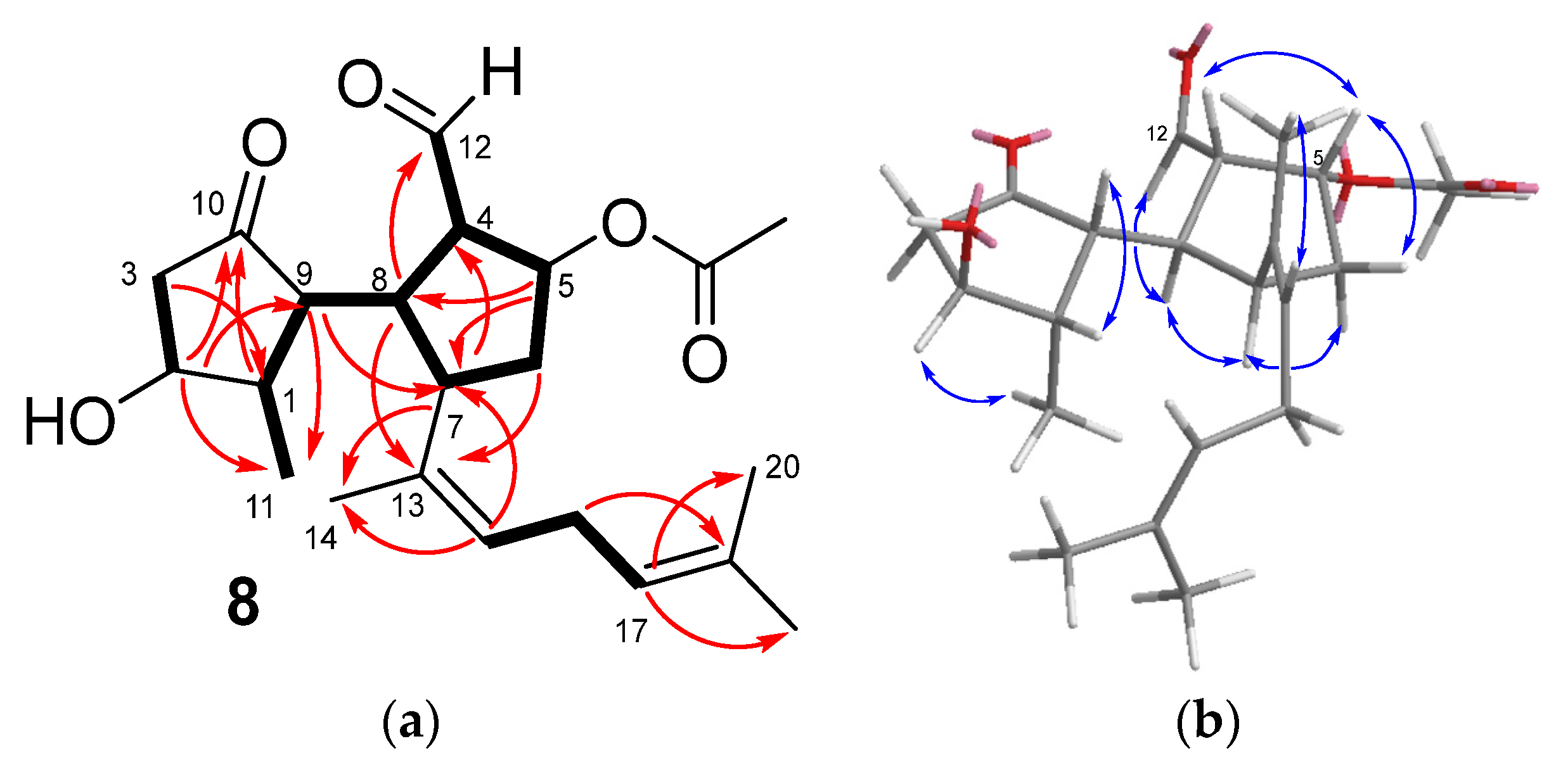 Marinedrugs 21 00252 g004 Marinedrugs 21 00252 g004