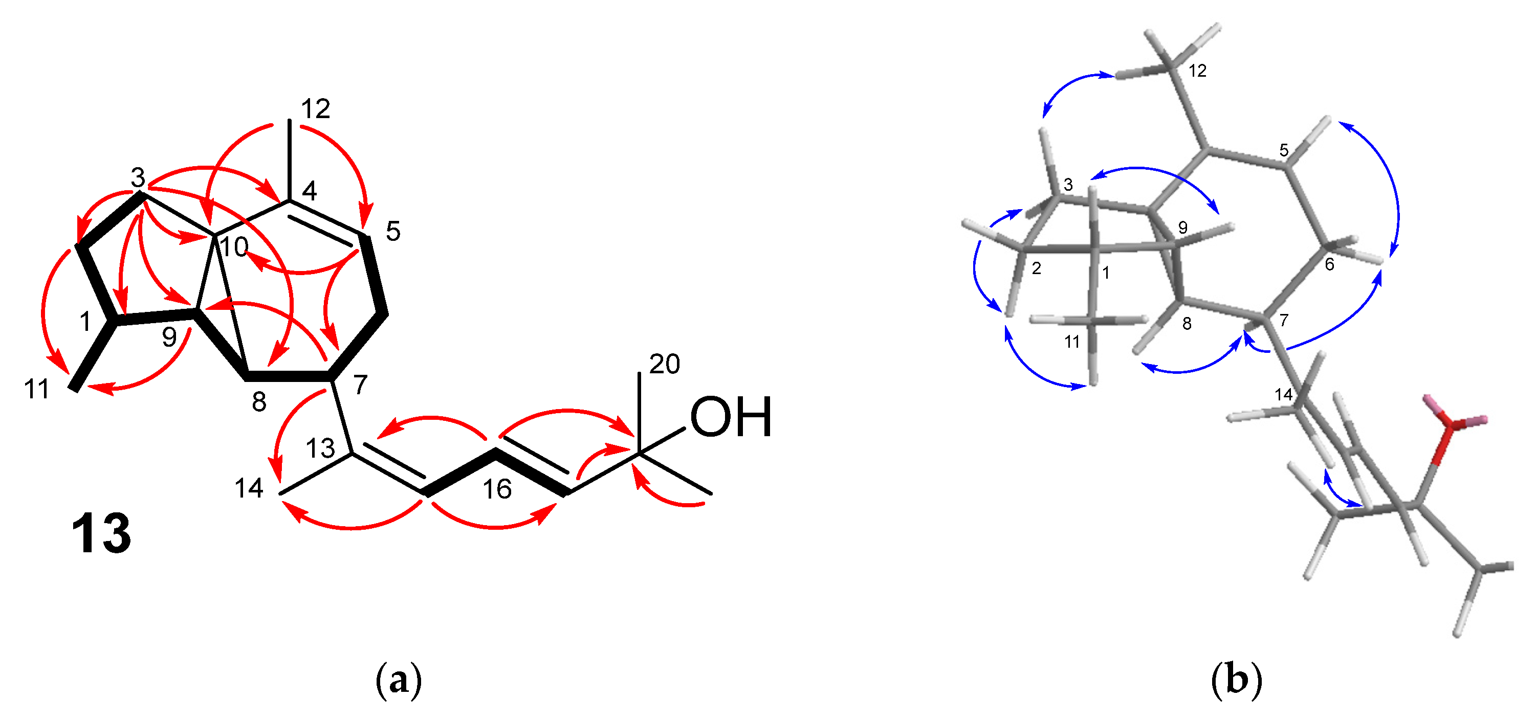 Marinedrugs 21 00252 g005 Marinedrugs 21 00252 g005