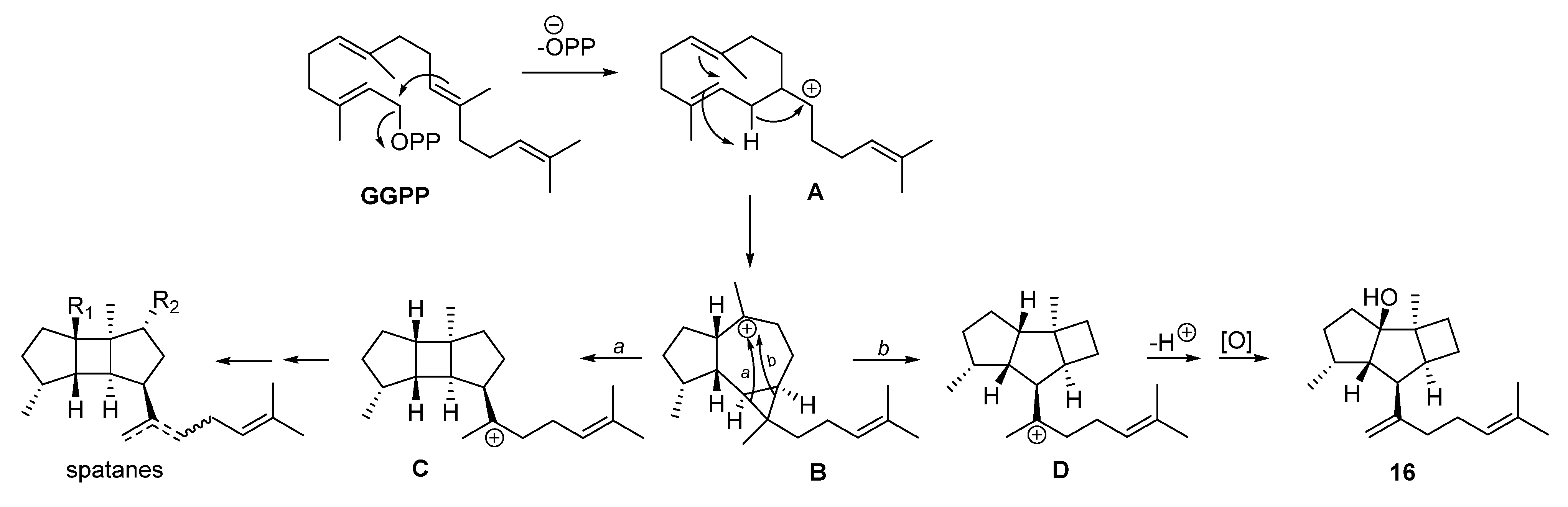 Marinedrugs 21 00252 g007 Marinedrugs 21 00252 g007