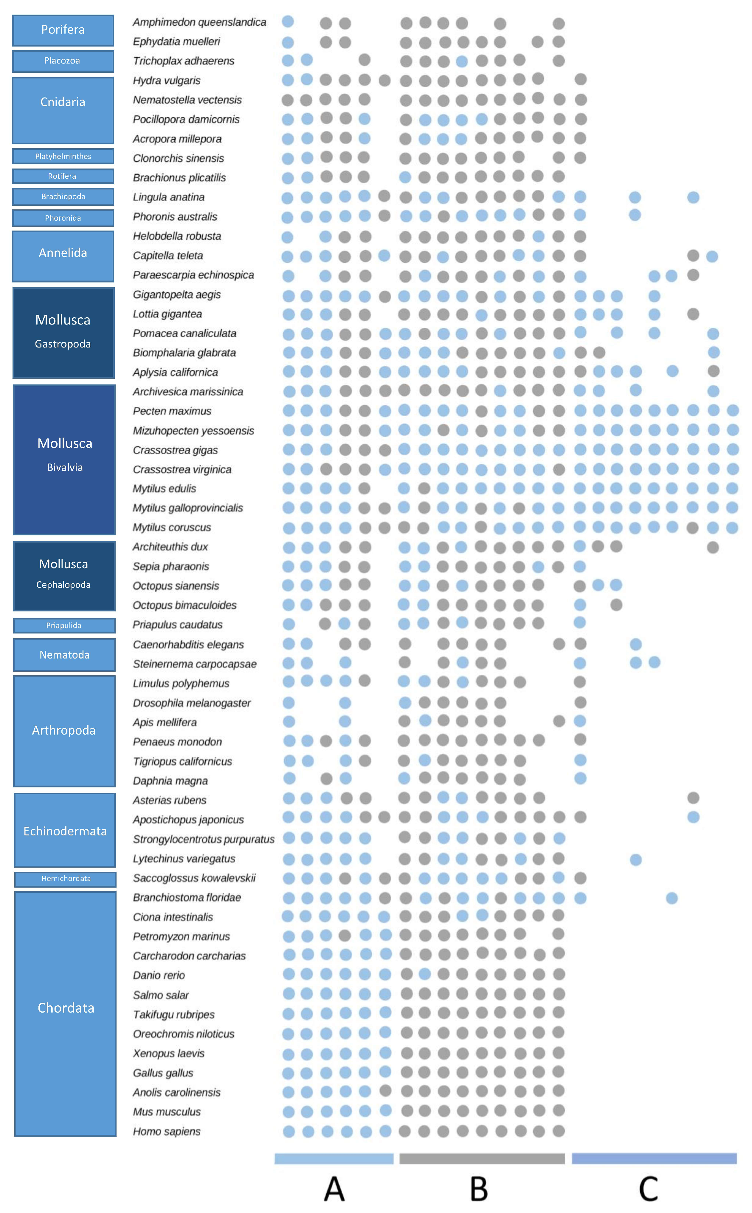 Marinedrugs 21 00254 g006 Marinedrugs 21 00254 g006