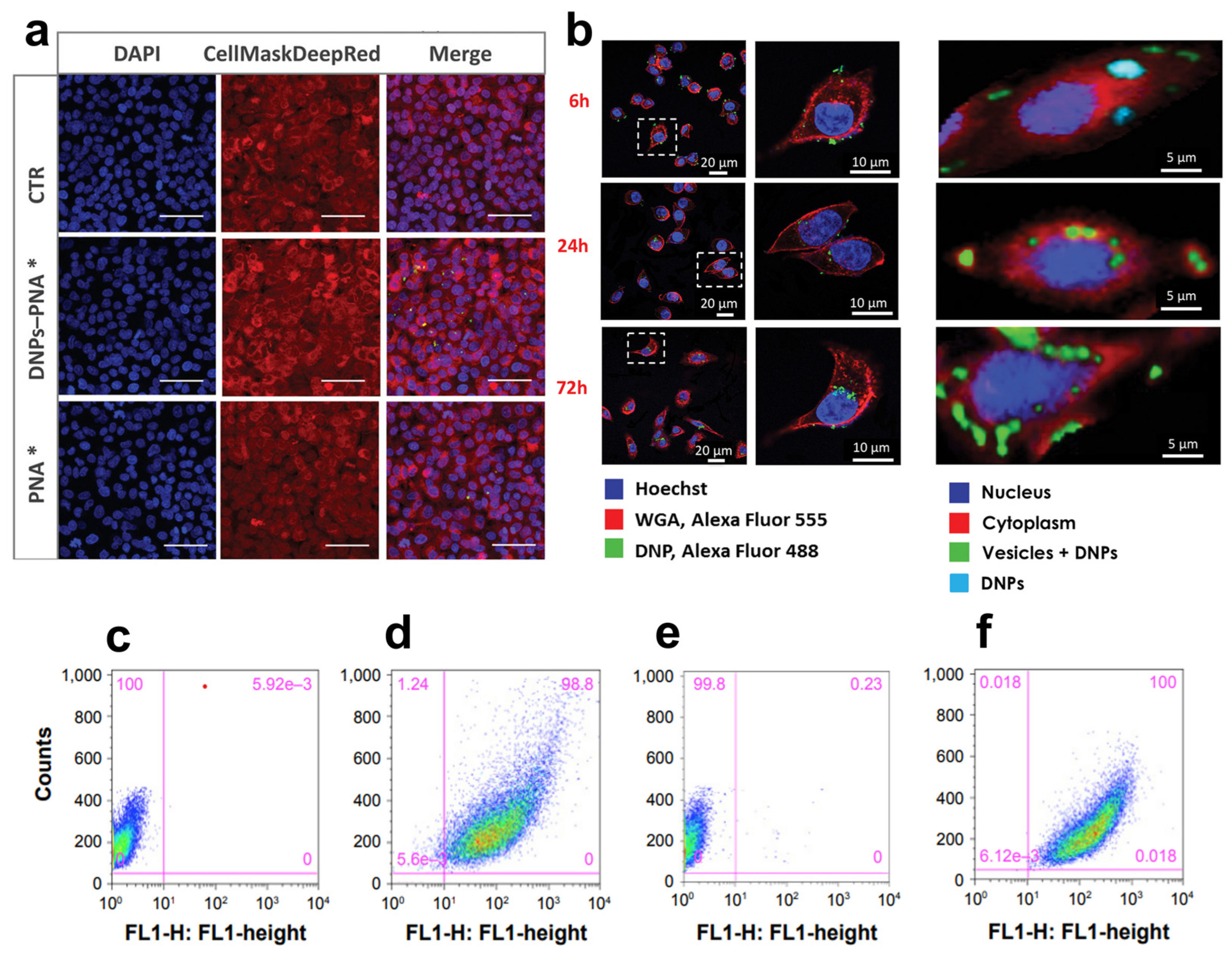 Marinedrugs 21 00266 g006