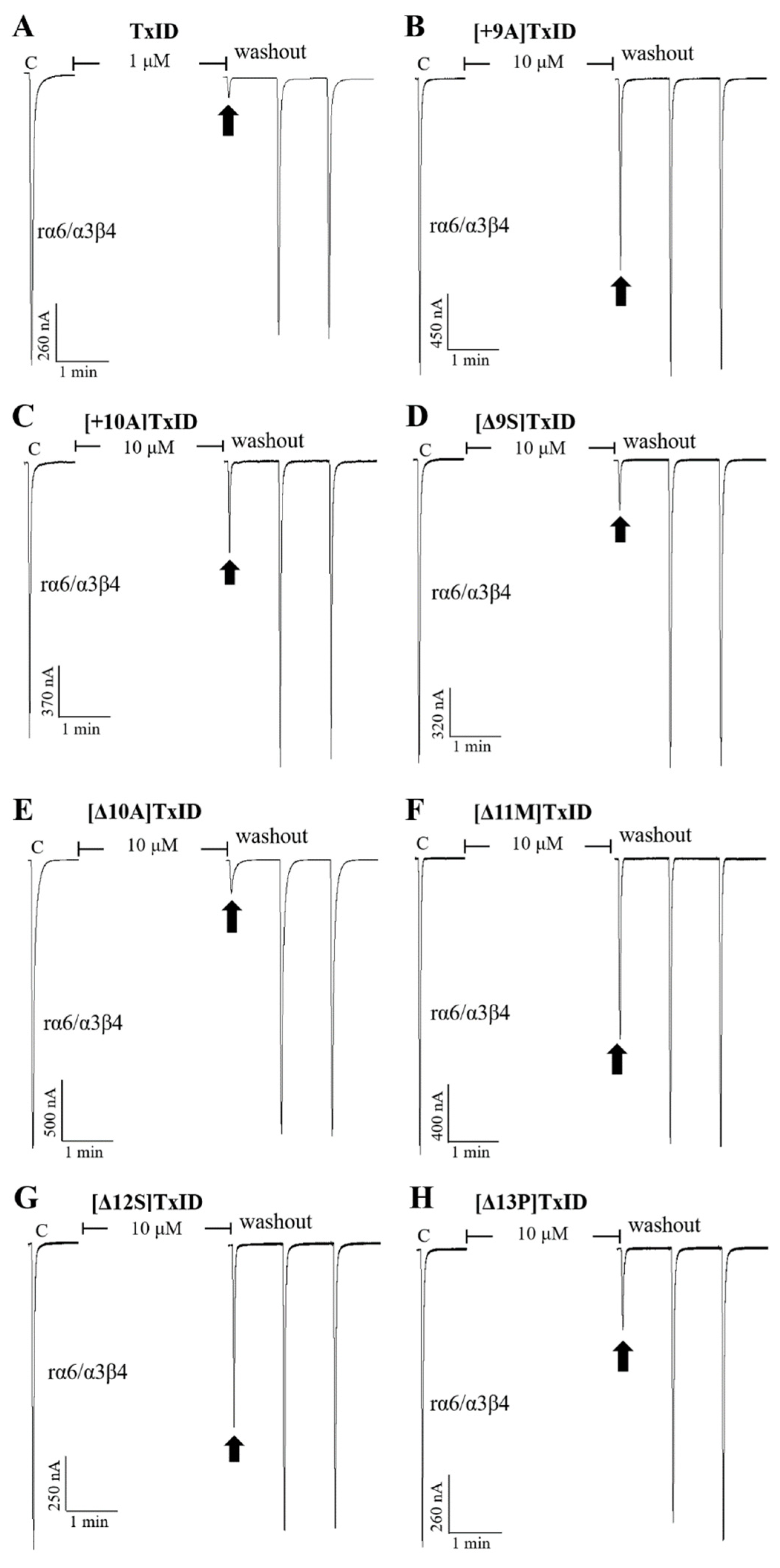 Marinedrugs 21 00286 g005 Marinedrugs 21 00286 g005