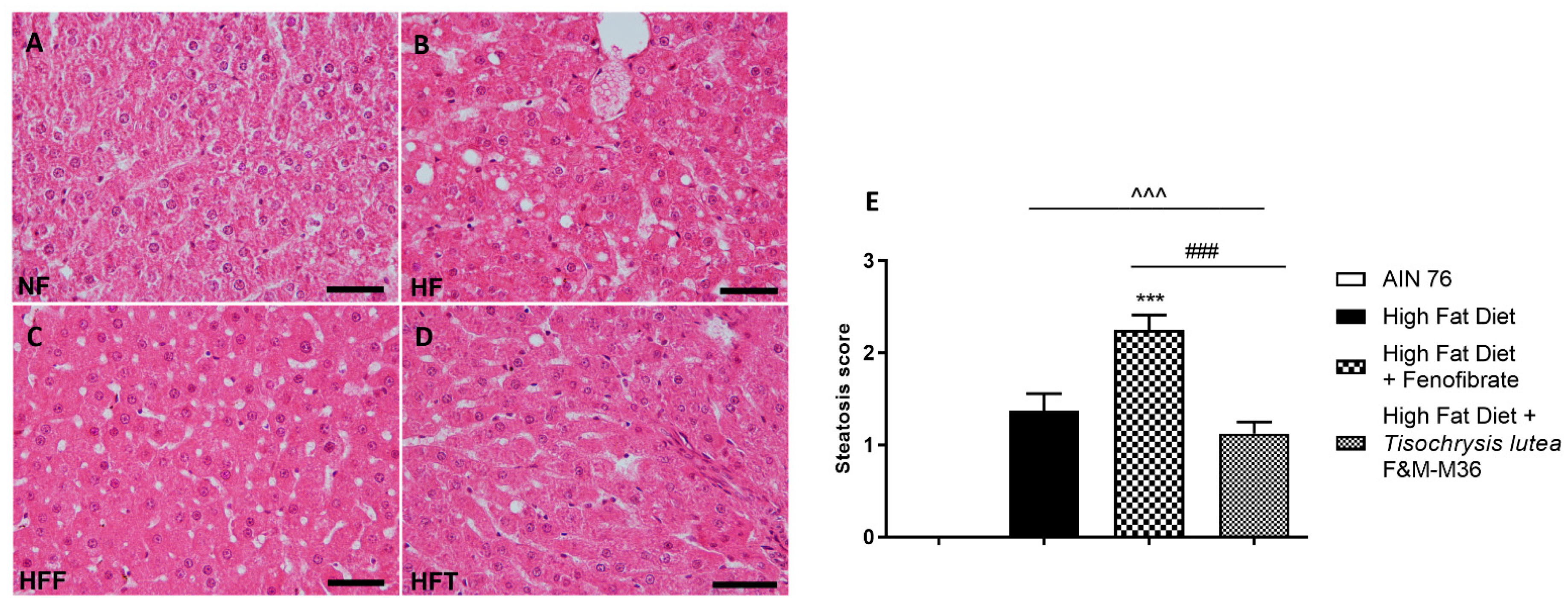 Marinedrugs 21 00303 g001