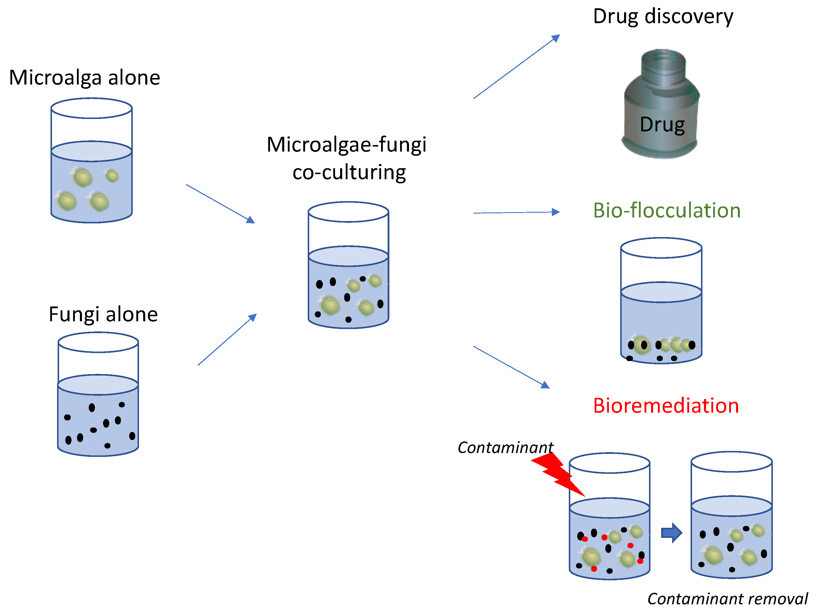 Marinedrugs 21 00310 g002 Marinedrugs 21 00310 g002