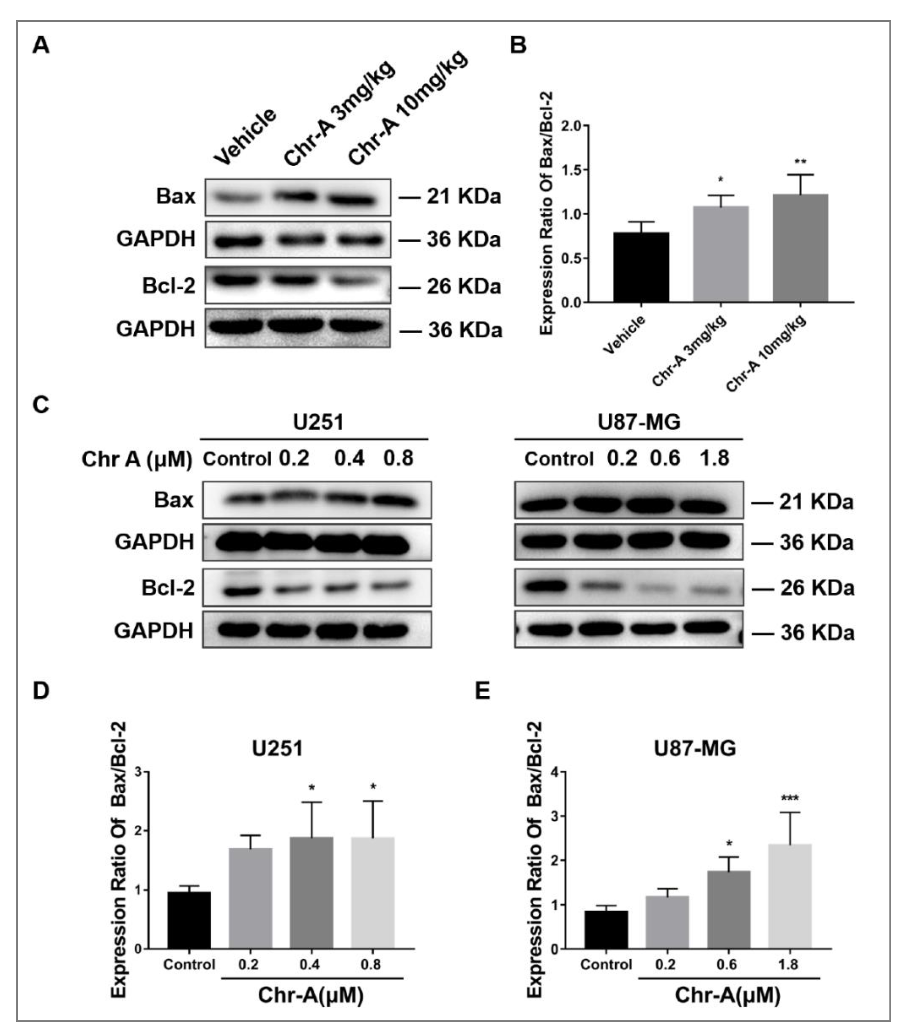 Marinedrugs 21 00329 g005