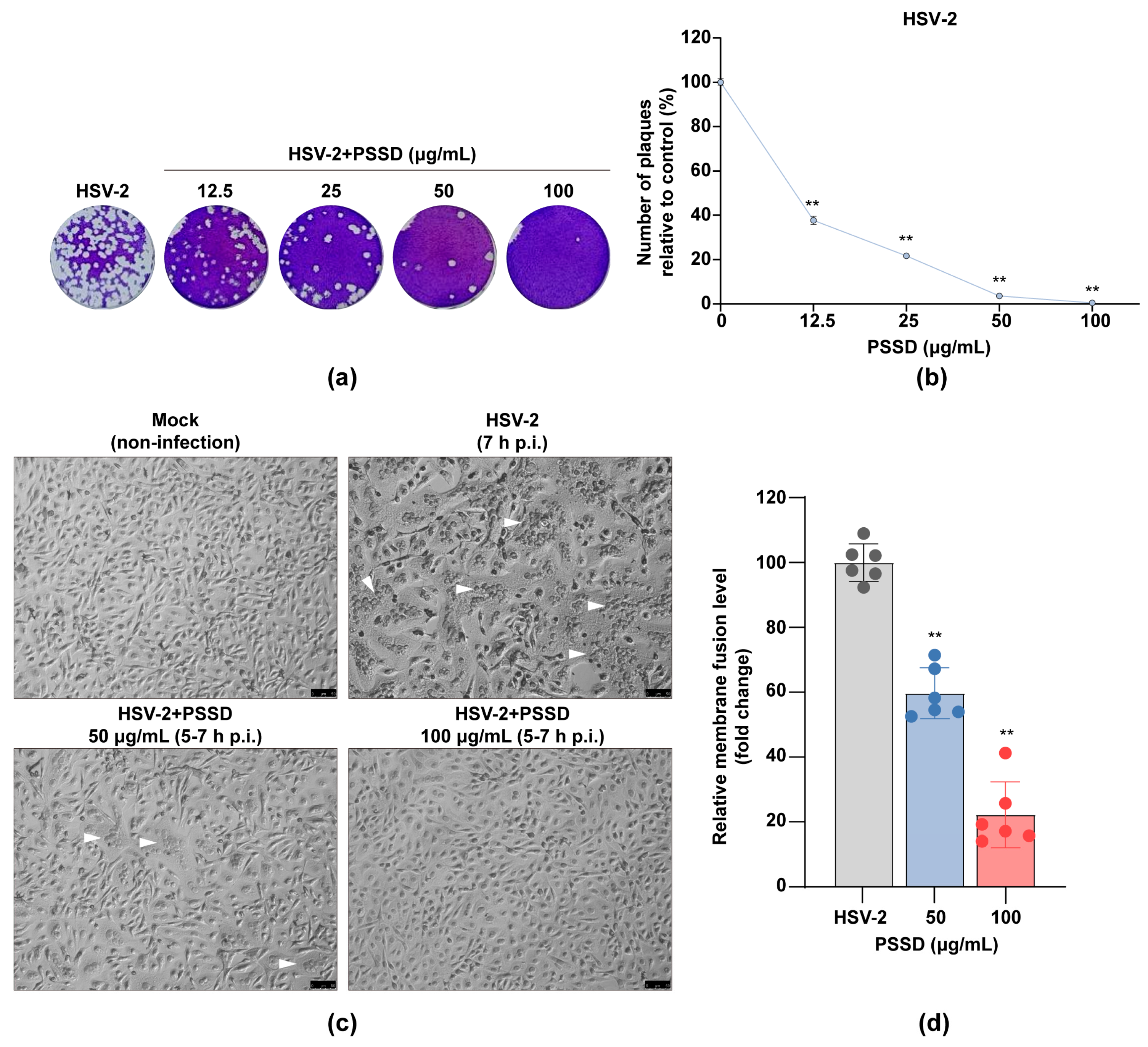 Marinedrugs 21 00364 g004 Marinedrugs 21 00364 g004