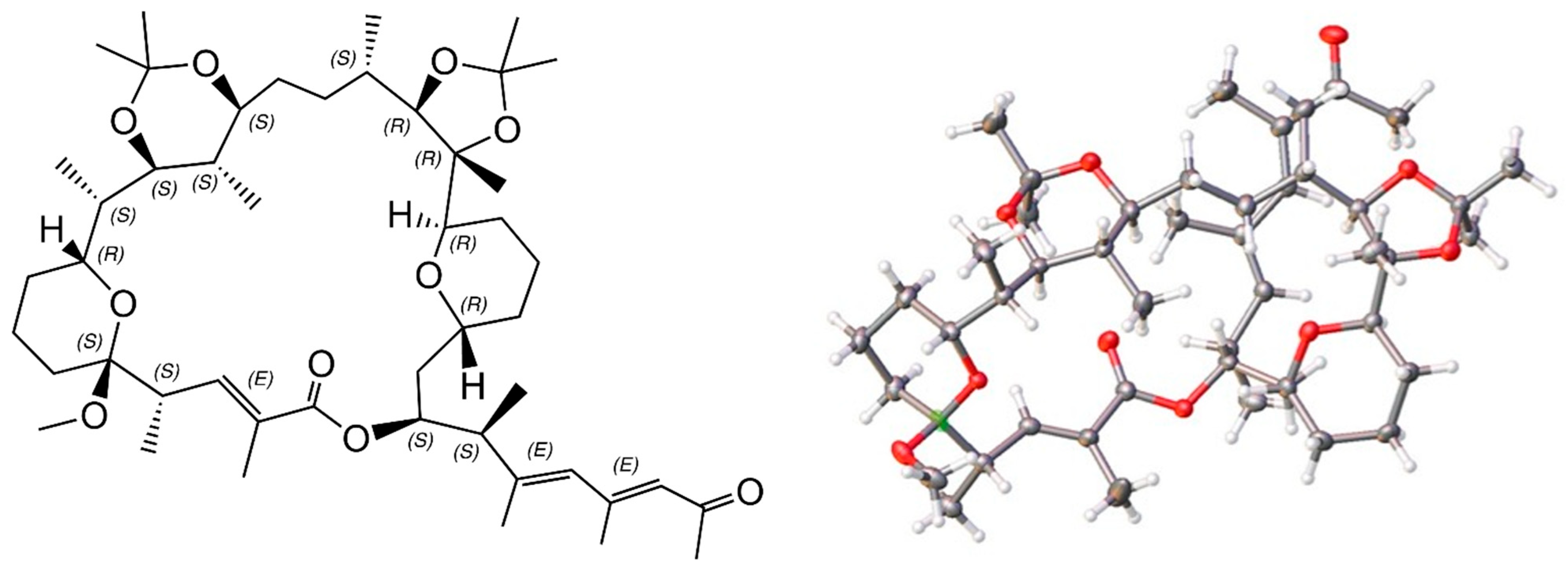 Marinedrugs 21 00367 g006