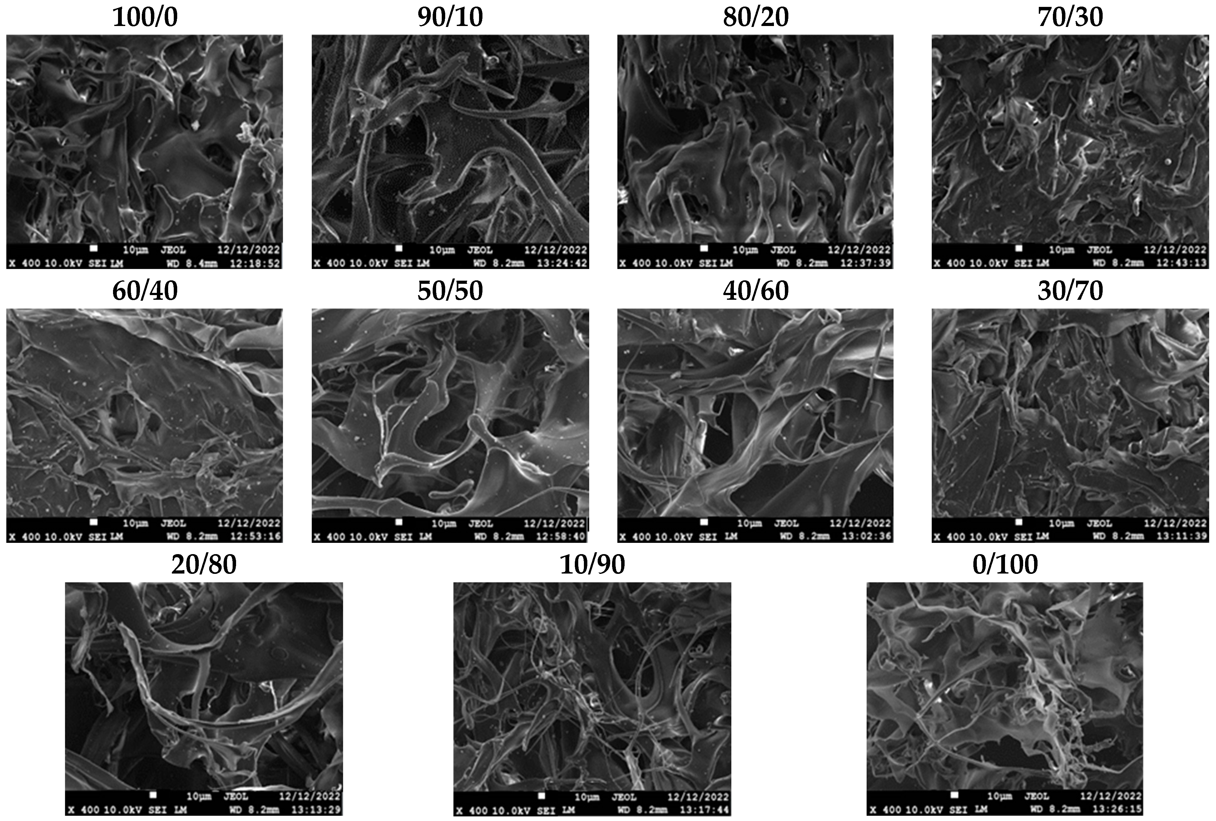 Marinedrugs 21 00370 g007