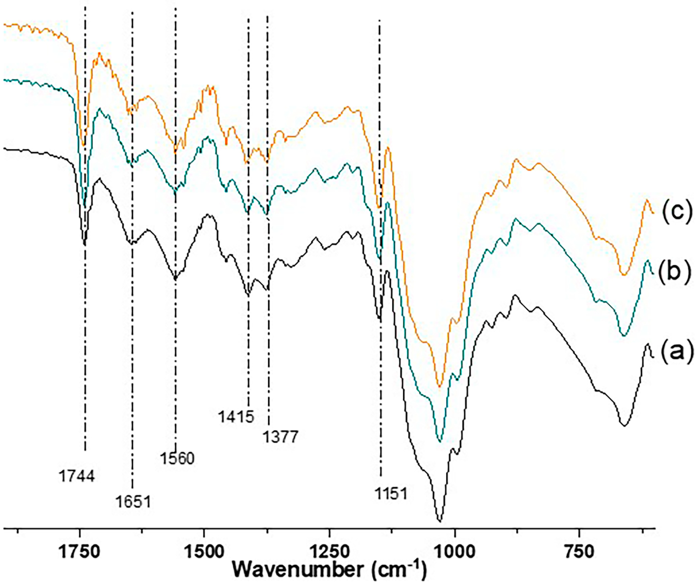 Marinedrugs 21 00394 g001