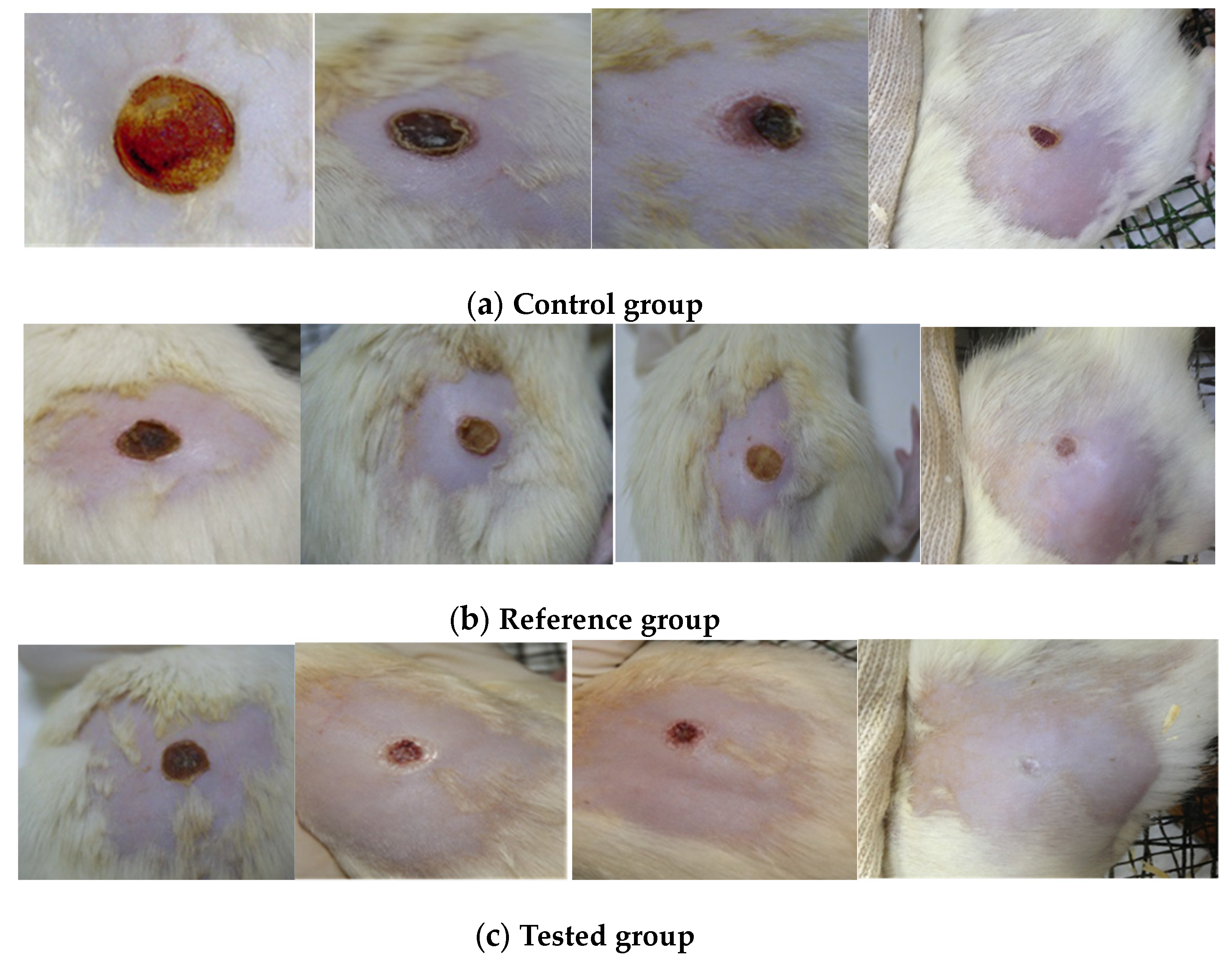 Marinedrugs 21 00408 g004 Marinedrugs 21 00408 g004