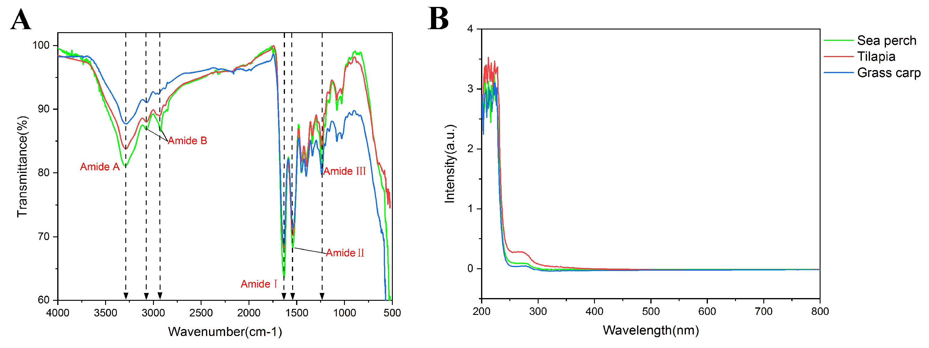 Marinedrugs 21 00423 g003 Marinedrugs 21 00423 g003