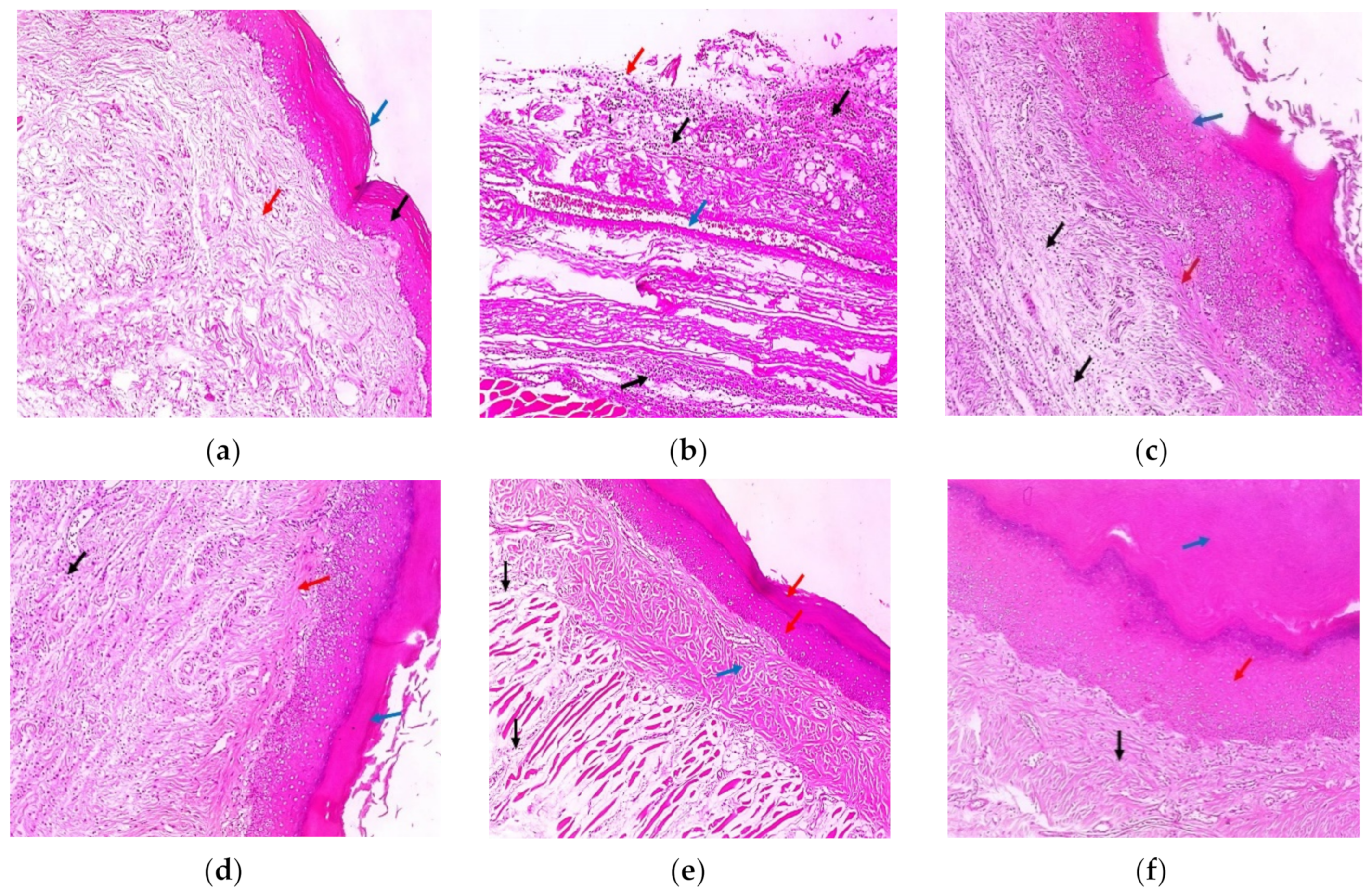 Marinedrugs 21 00459 g011a