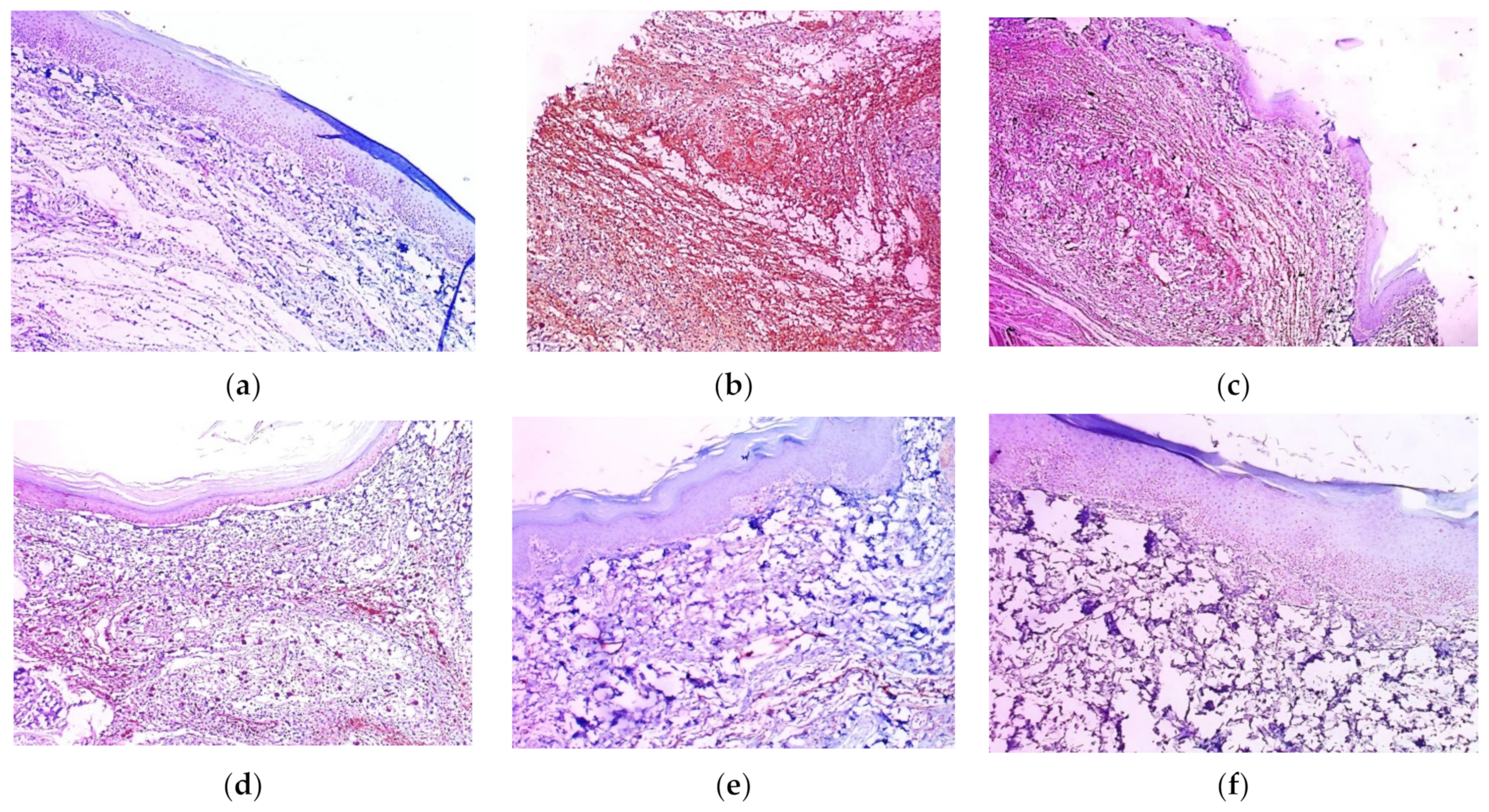 Marinedrugs 21 00459 g012a