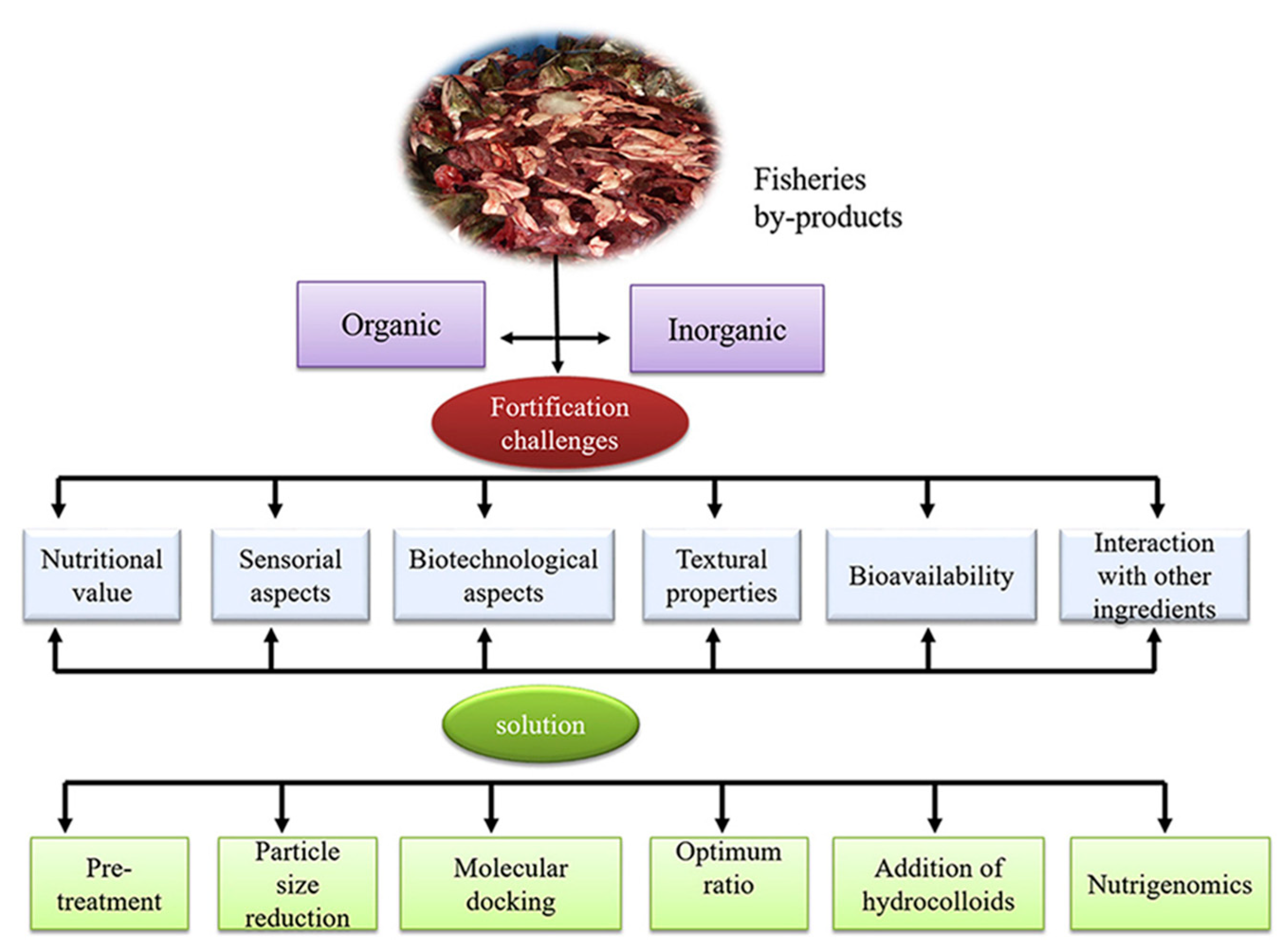 Marinedrugs 21 00485 g002