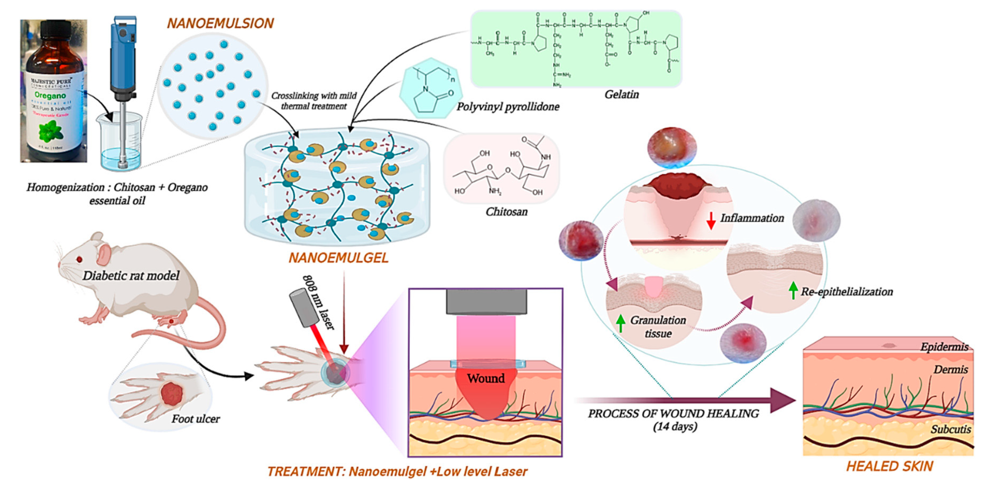 Marinedrugs 21 00485 g004