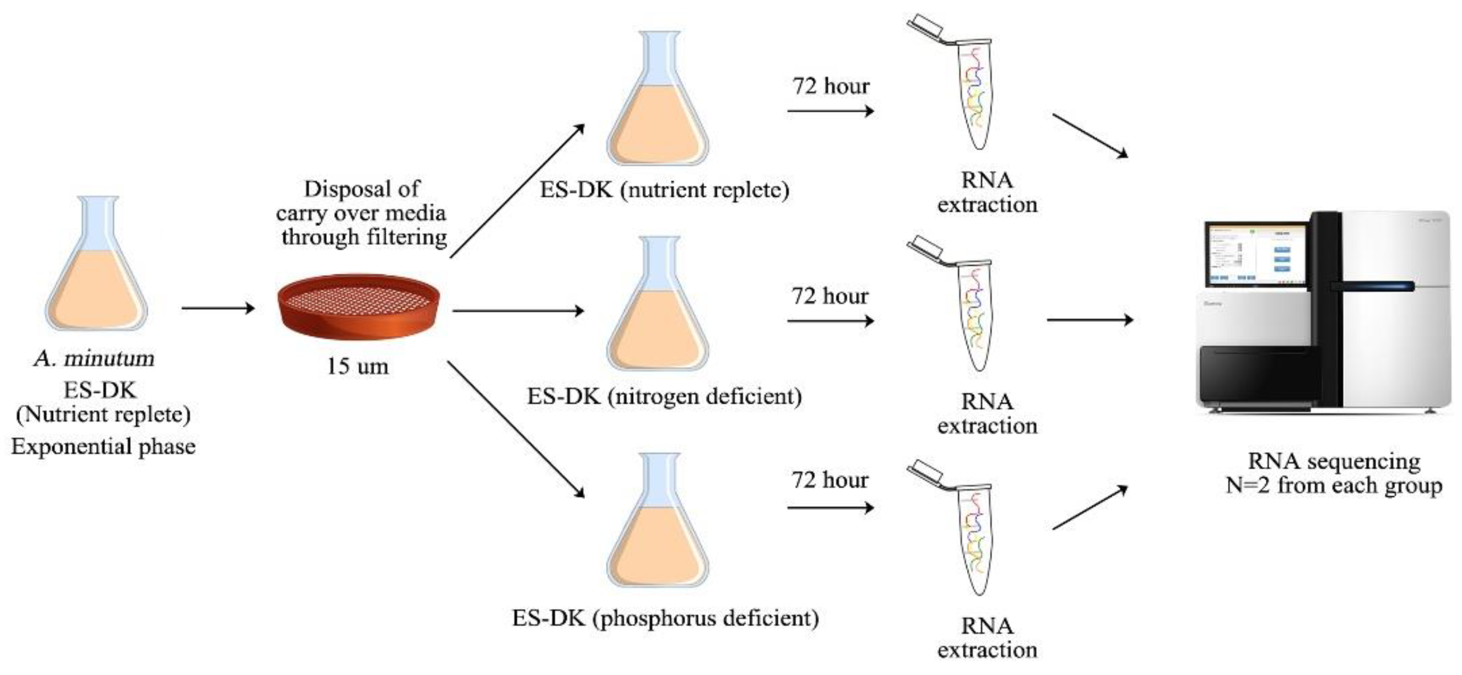 Marinedrugs 21 00497 g006