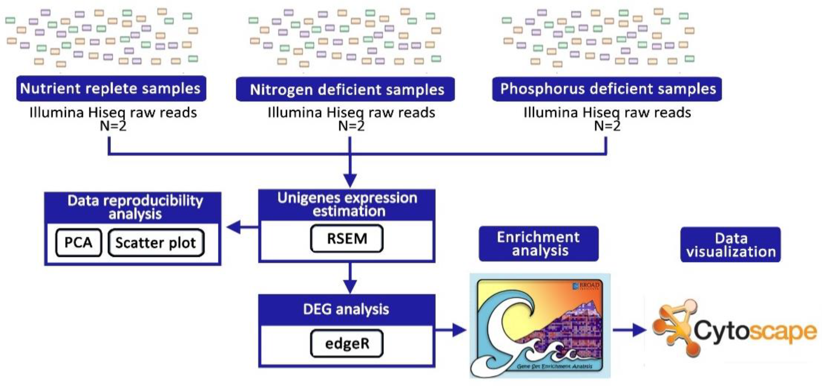 Marinedrugs 21 00497 g007