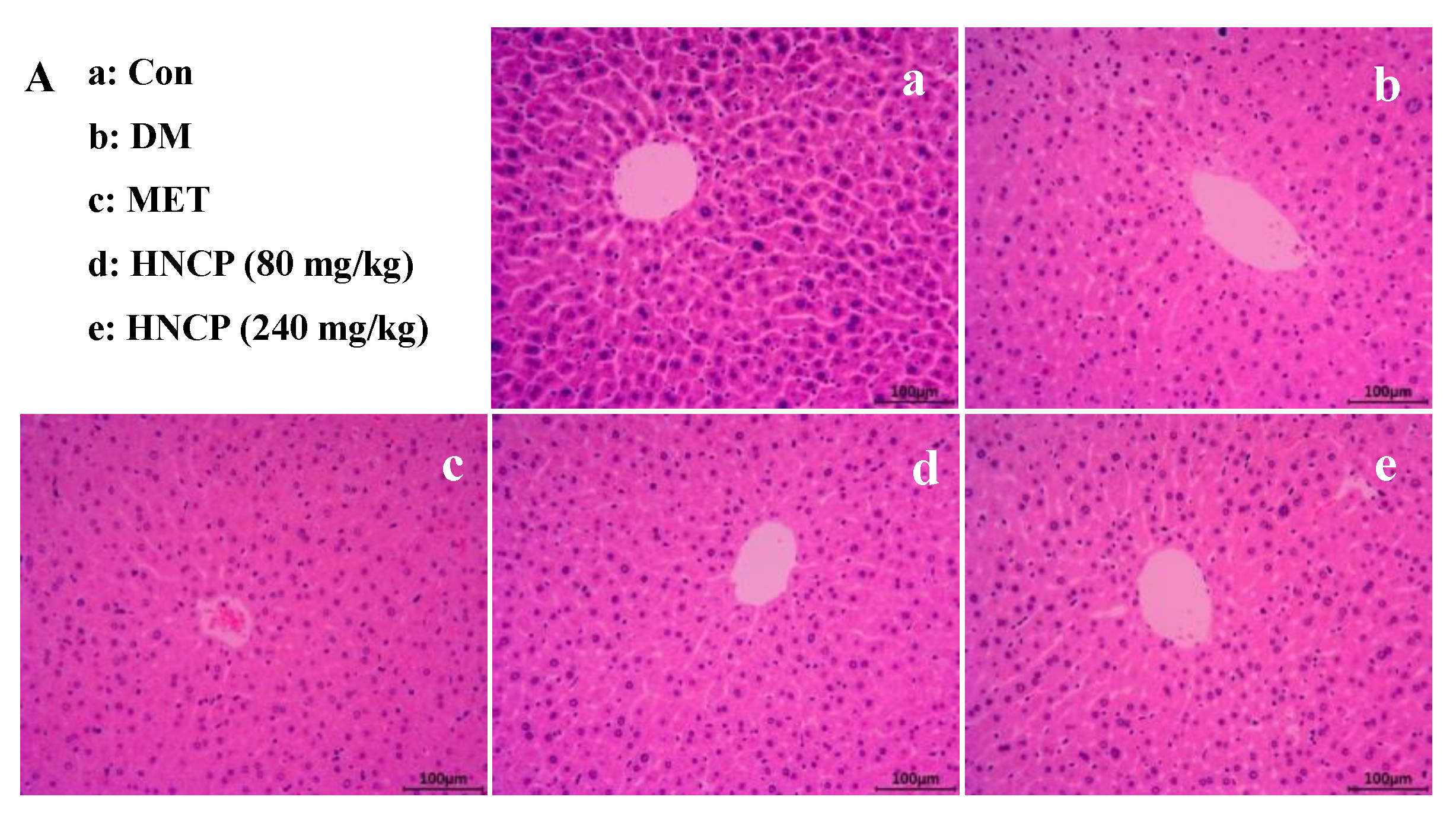 Marinedrugs 21 00518 g004a