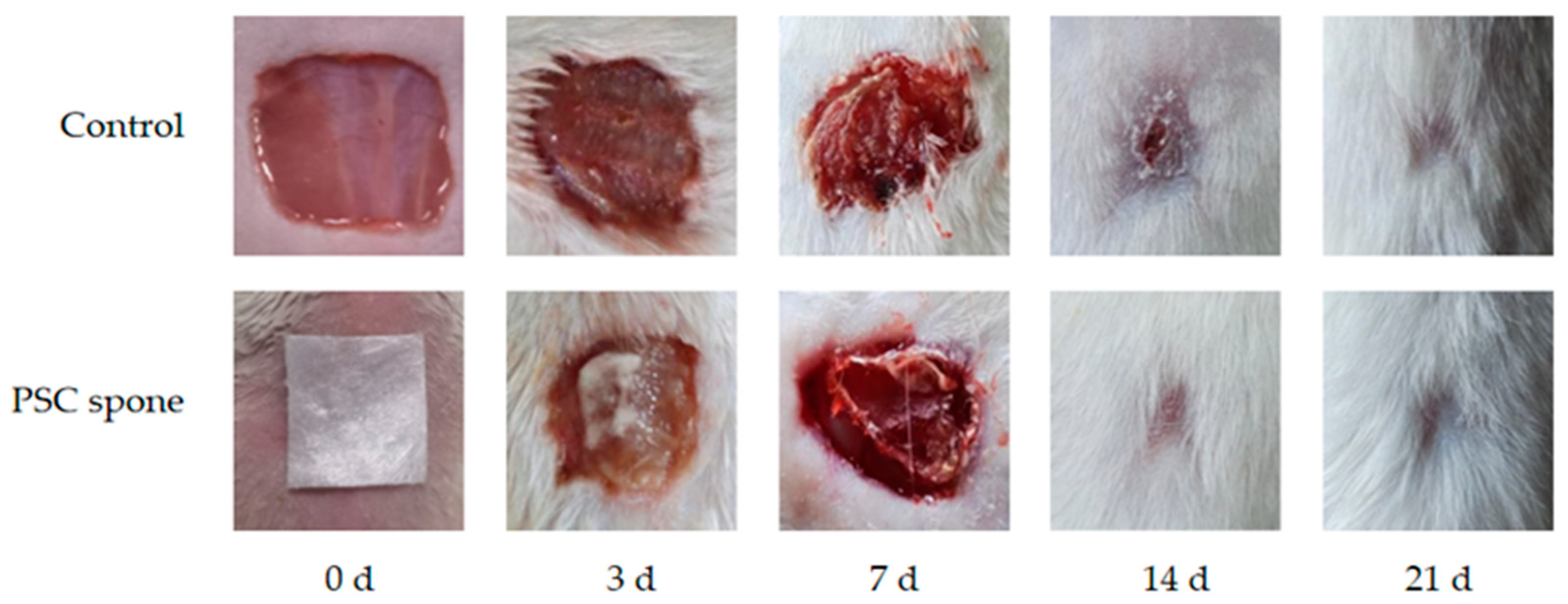 Marinedrugs 21 00525 g003