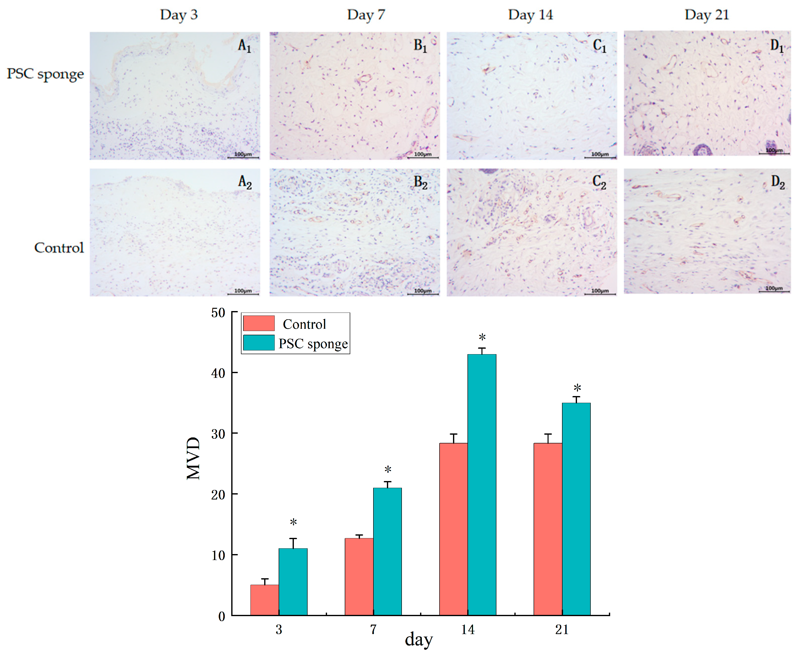 Marinedrugs 21 00525 g007