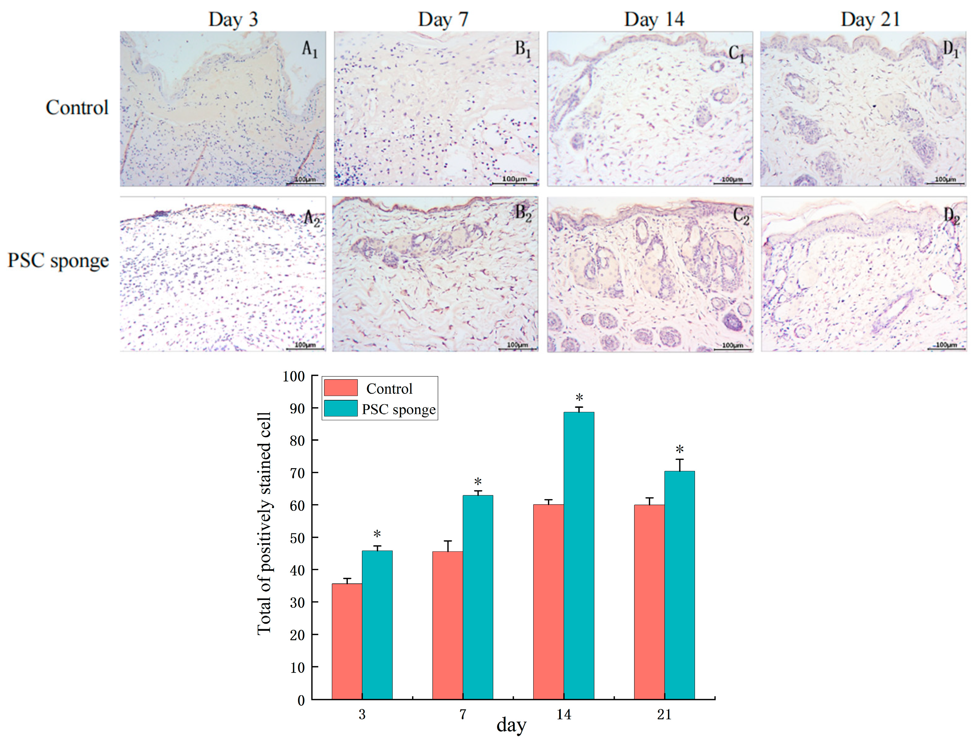 Marinedrugs 21 00525 g008