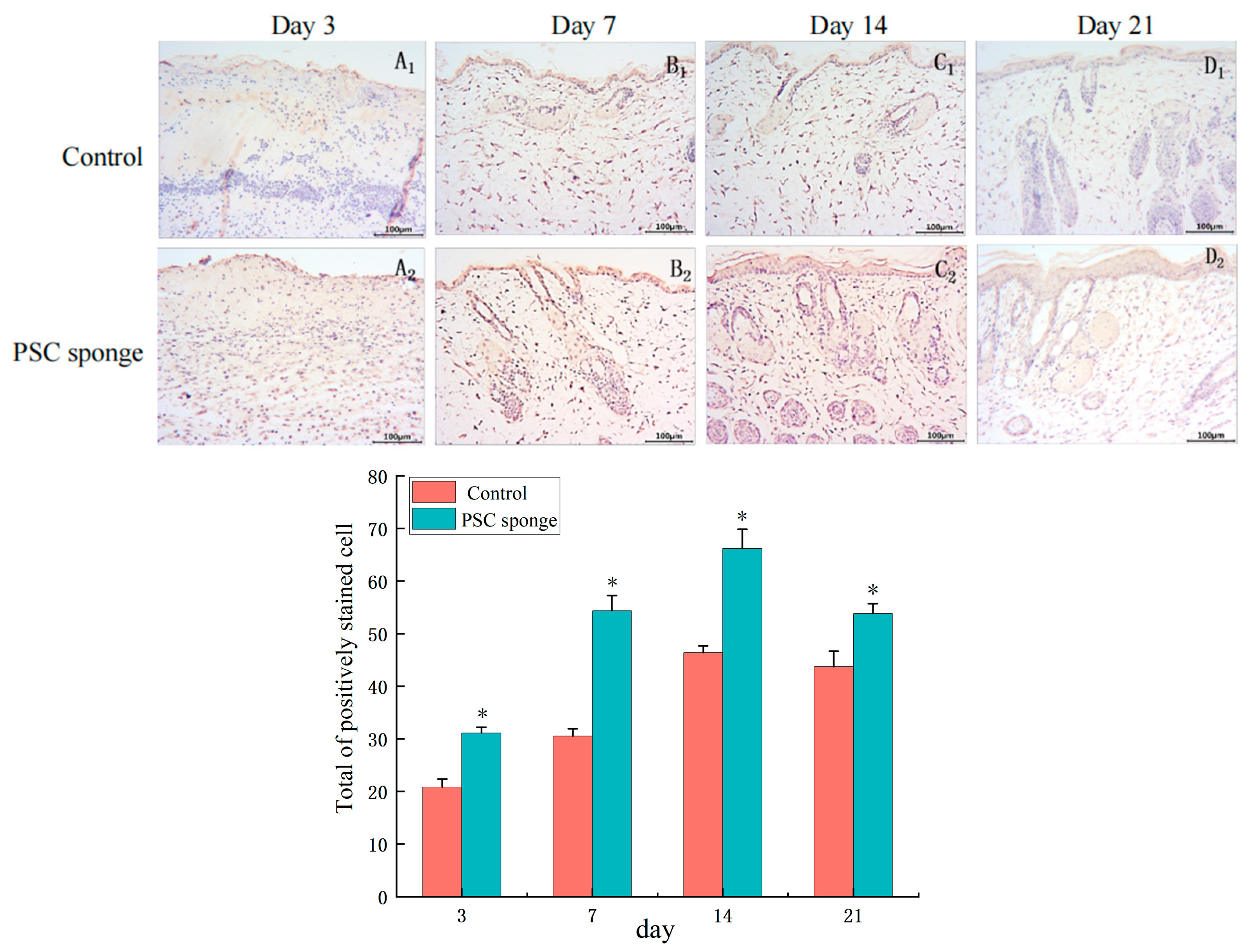 Marinedrugs 21 00525 g009