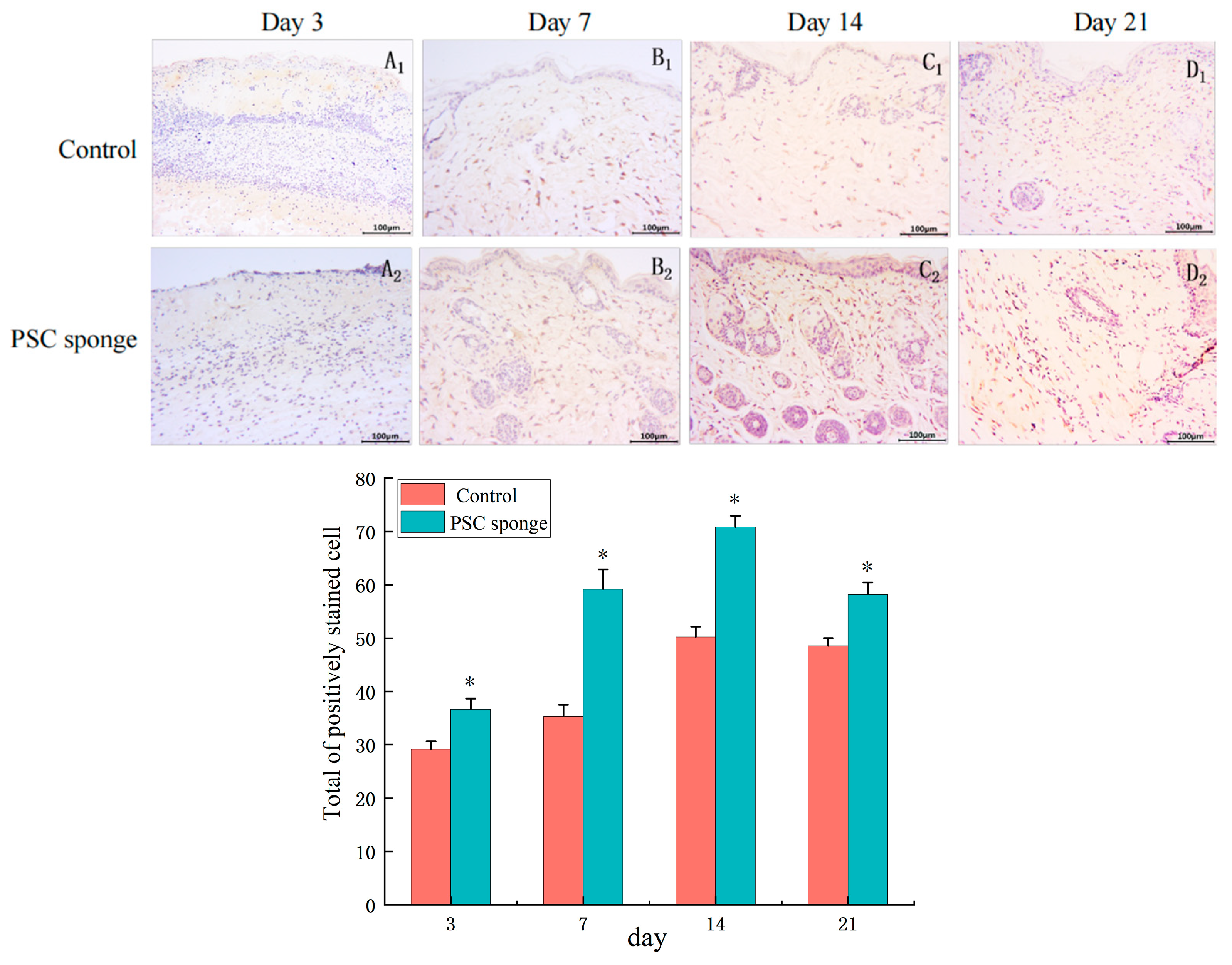 Marinedrugs 21 00525 g010
