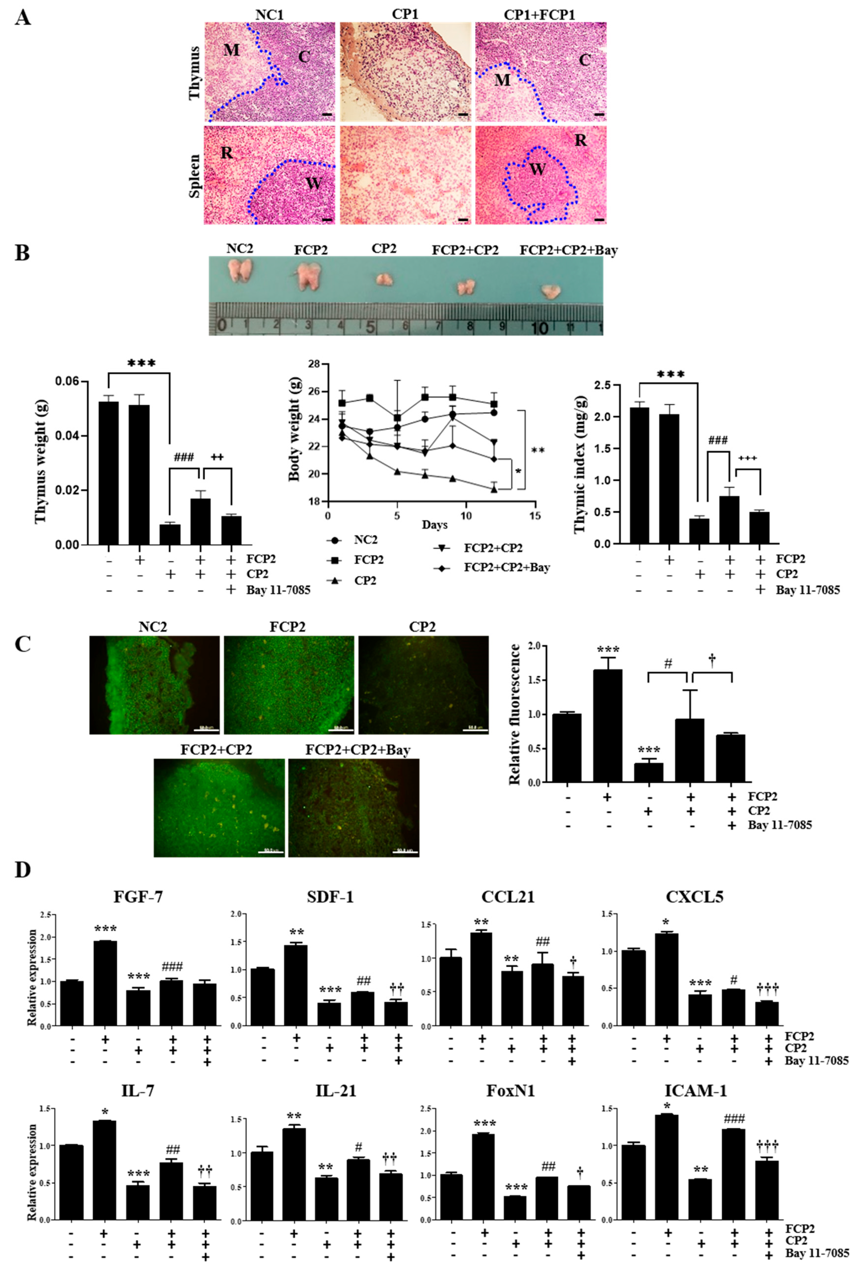 Marinedrugs 21 00531 g007
