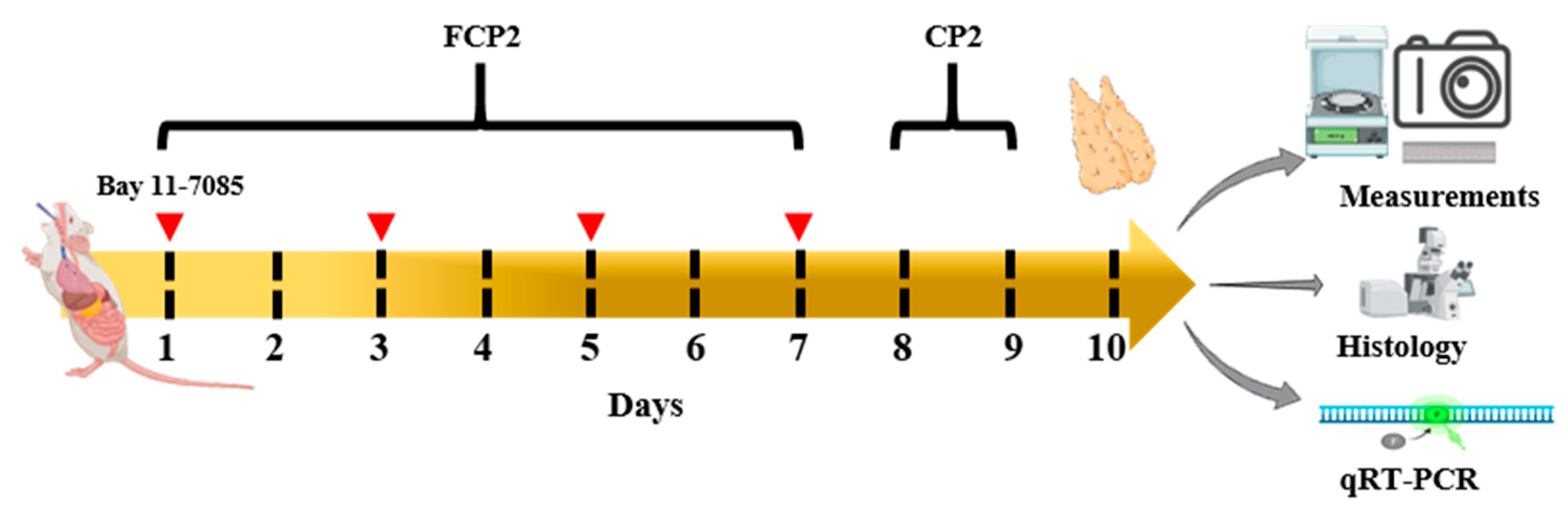 Marinedrugs 21 00531 g009