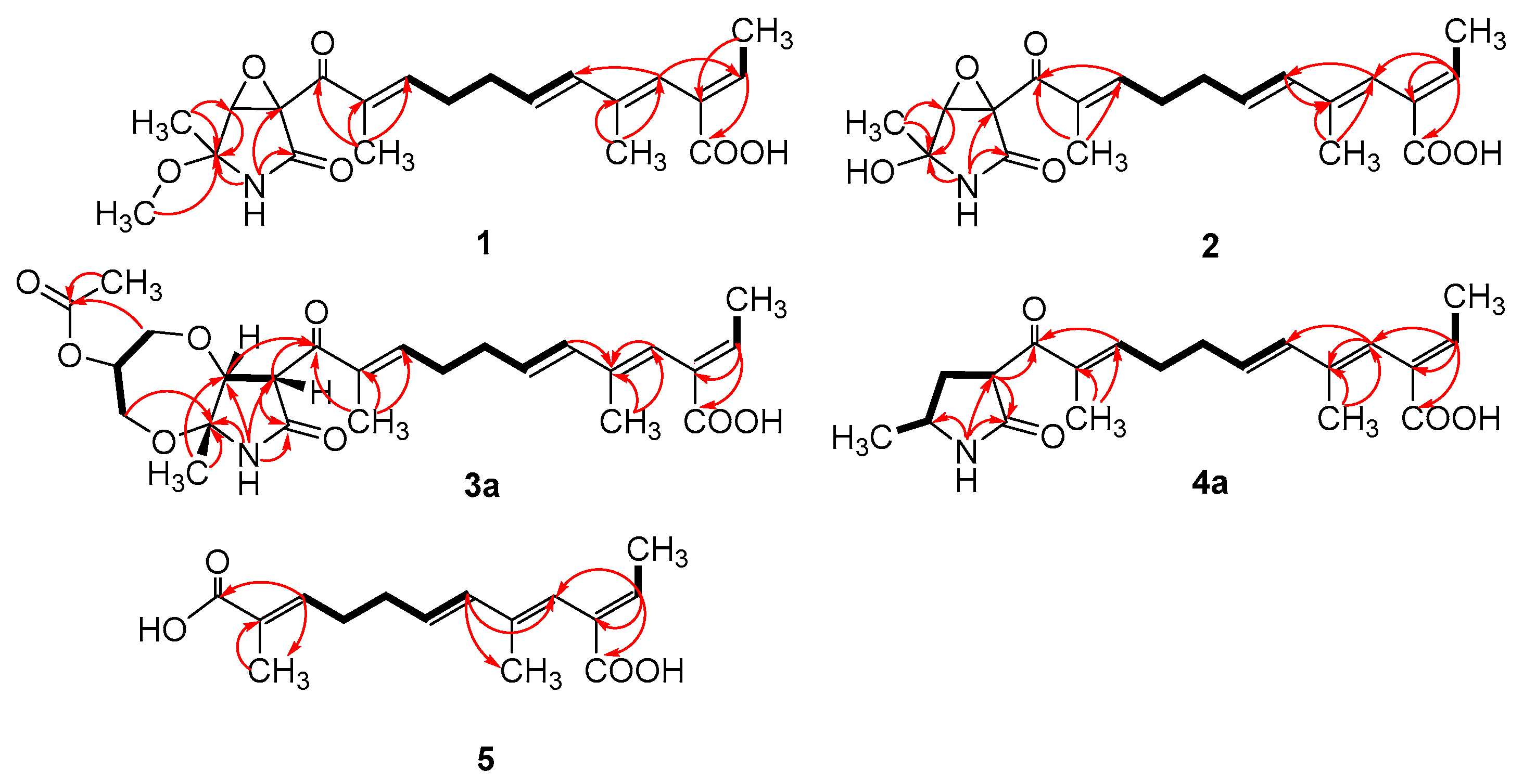 Marinedrugs 21 00532 g003 Marinedrugs 21 00532 g003