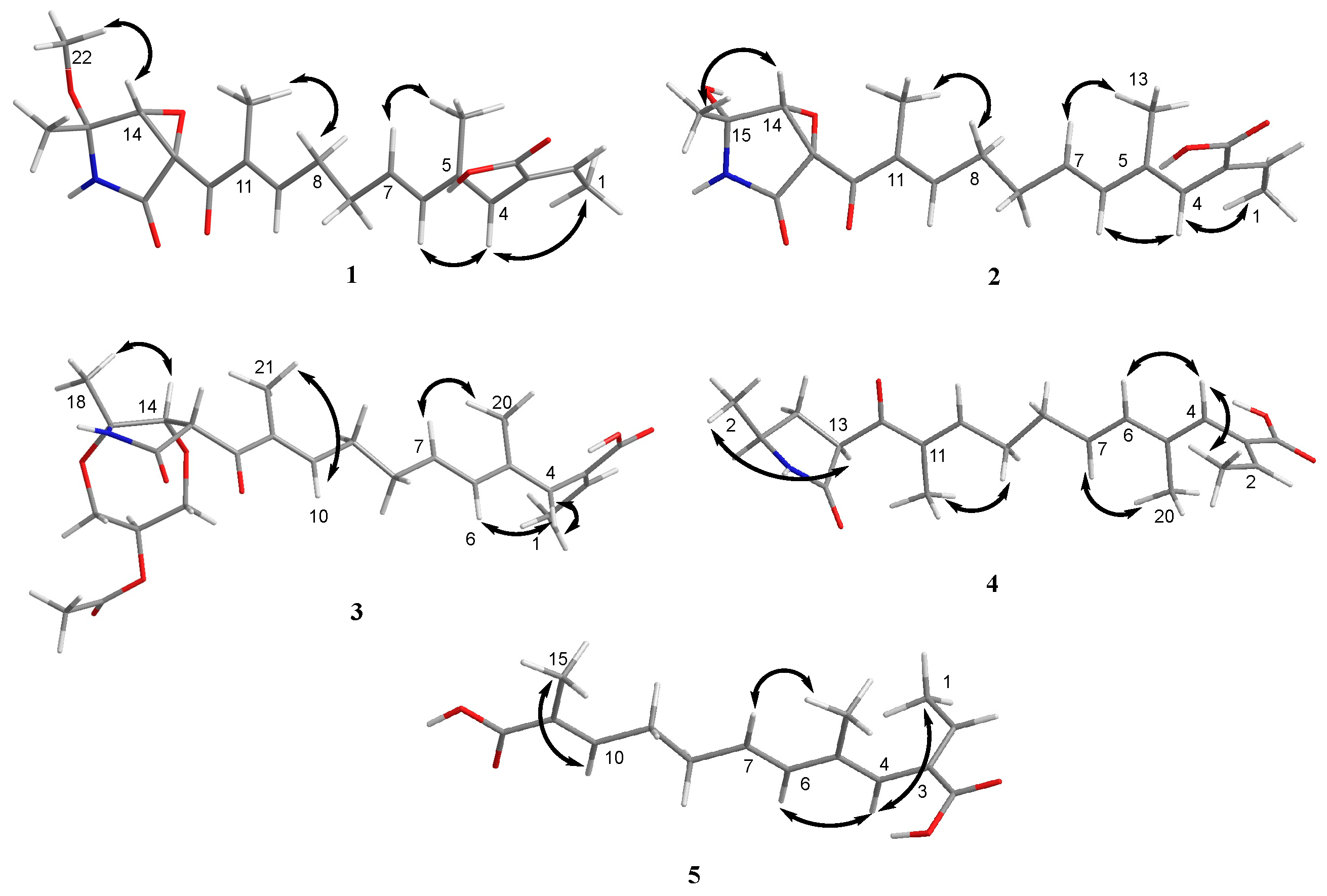 Marinedrugs 21 00532 g004 Marinedrugs 21 00532 g004