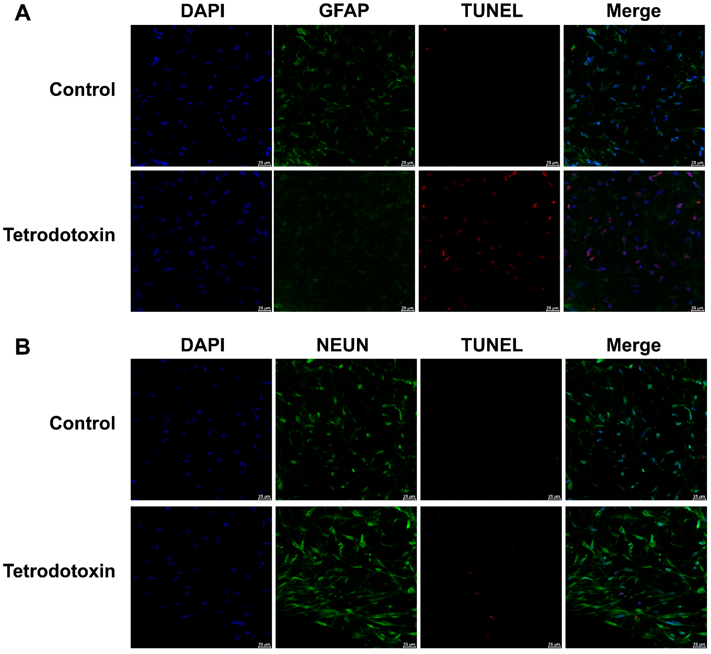 Marinedrugs 21 00588 g010