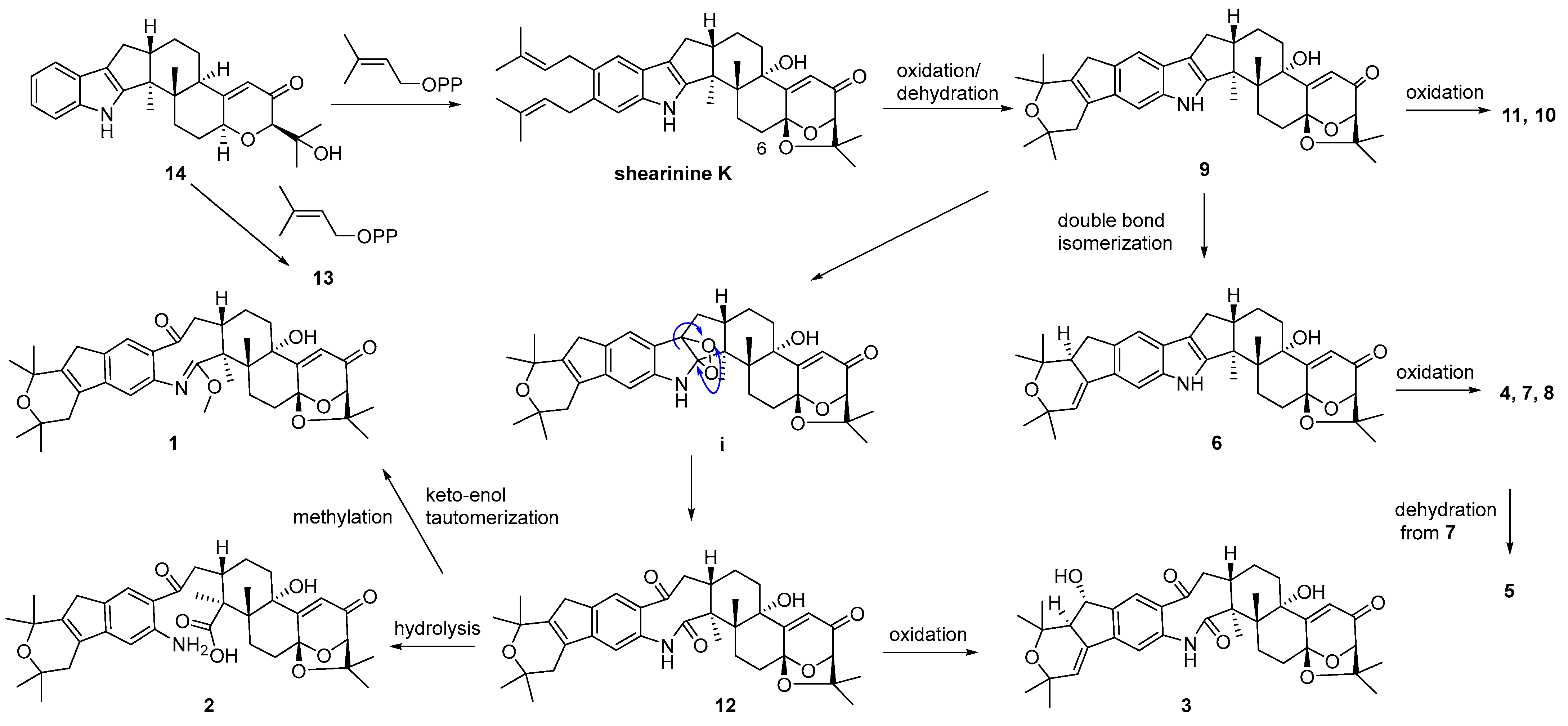 Marinedrugs 21 00593 sch001