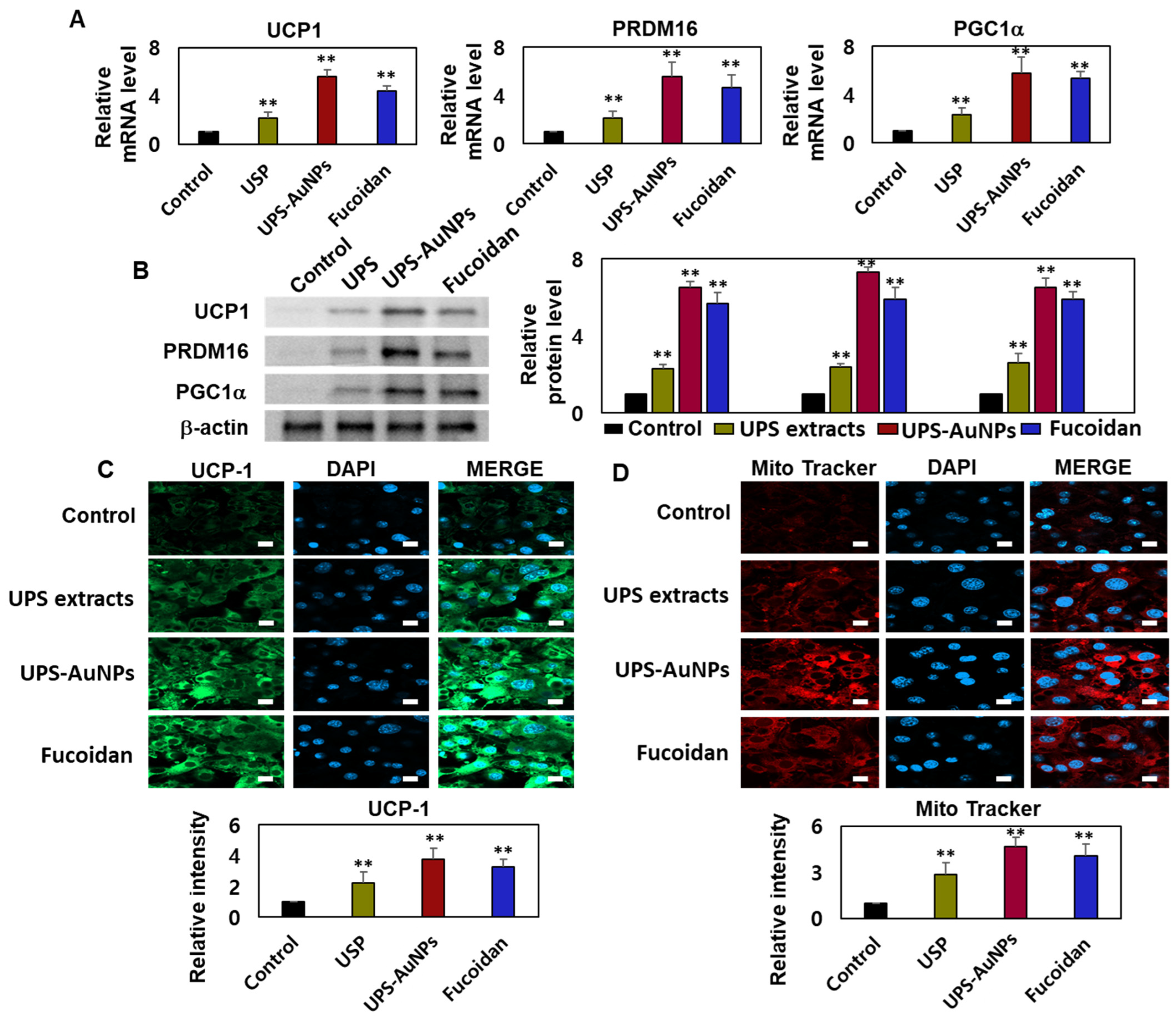 Marinedrugs 21 00603 g004