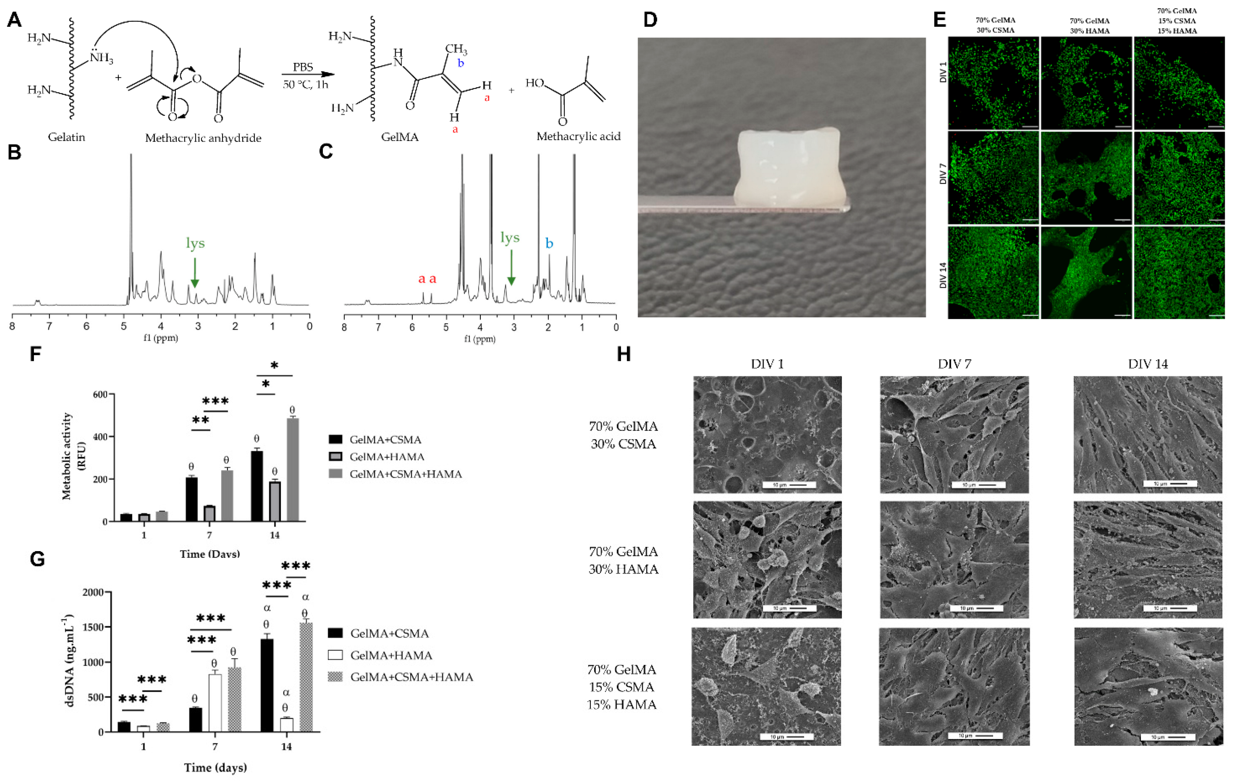 Marinedrugs 21 00611 g005