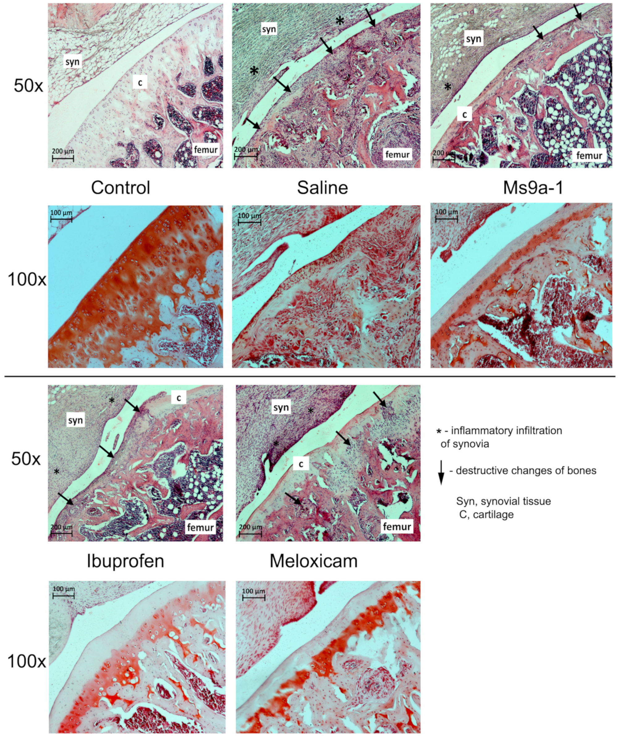 Marinedrugs 21 00617 g0a3 Marinedrugs 21 00617 g0a3